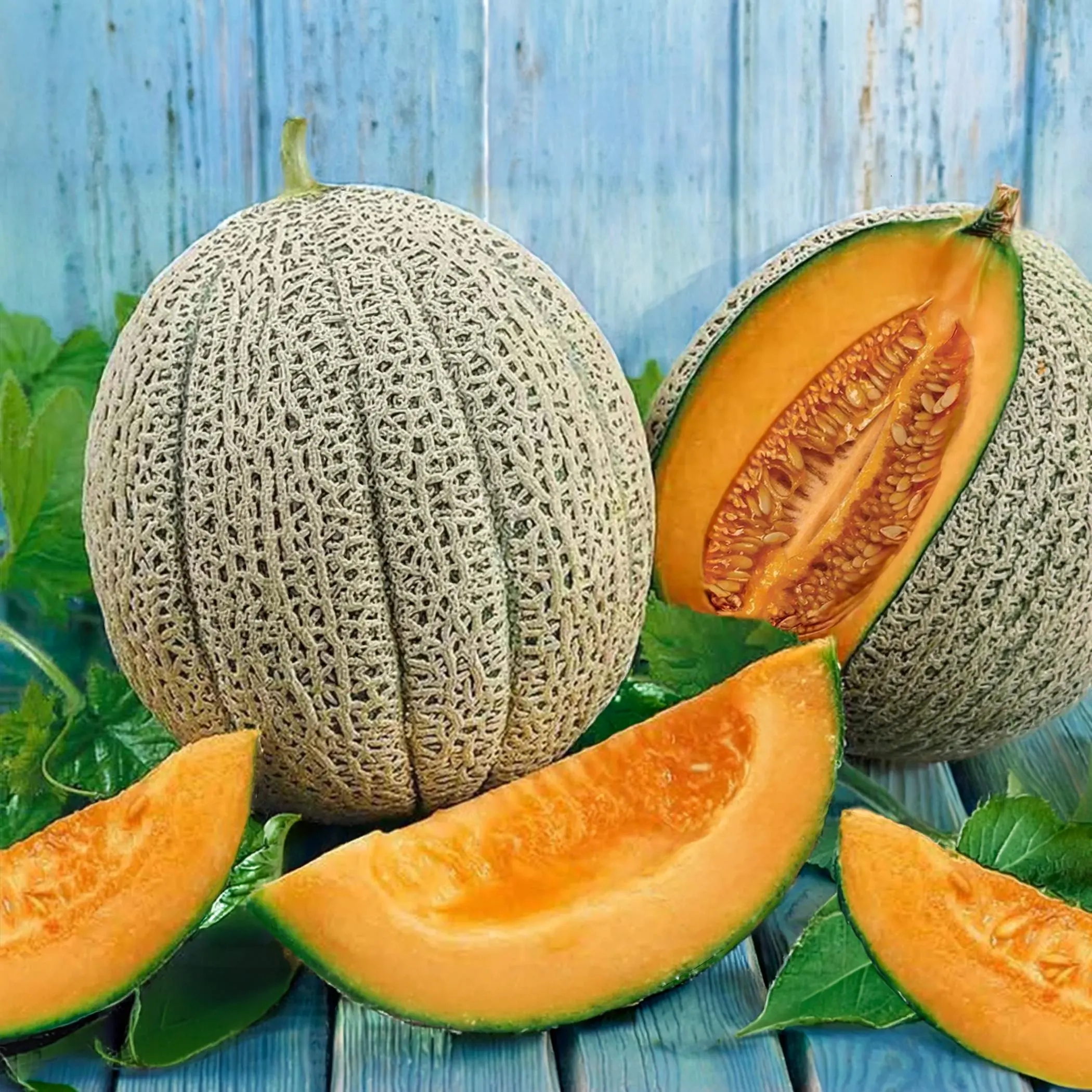 Hales Best Jumbo Cantaloupe Seeds, Heirloom Non-GMO - image 3