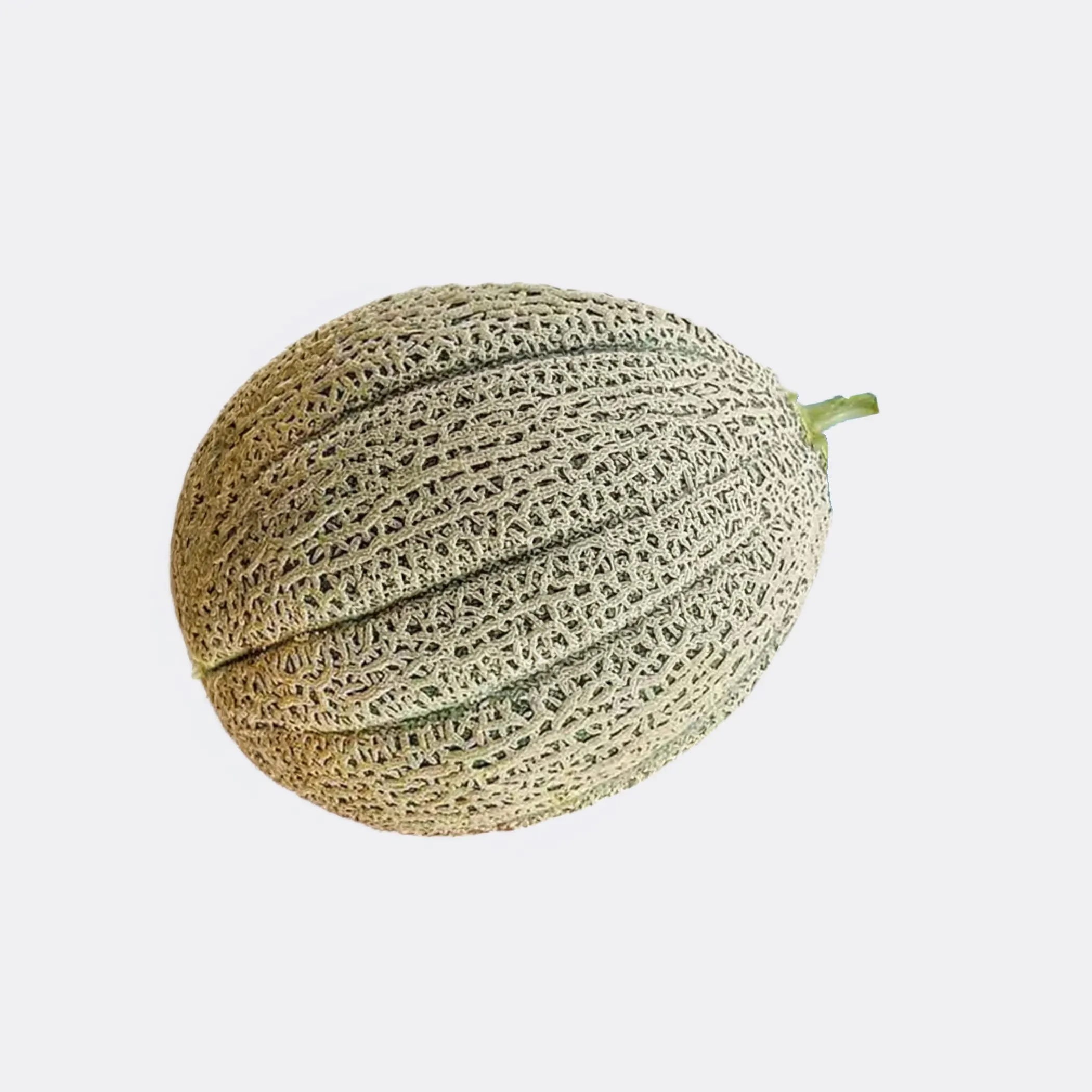 Hales Best Jumbo Cantaloupe Seeds, Heirloom Non-GMO - image 4
