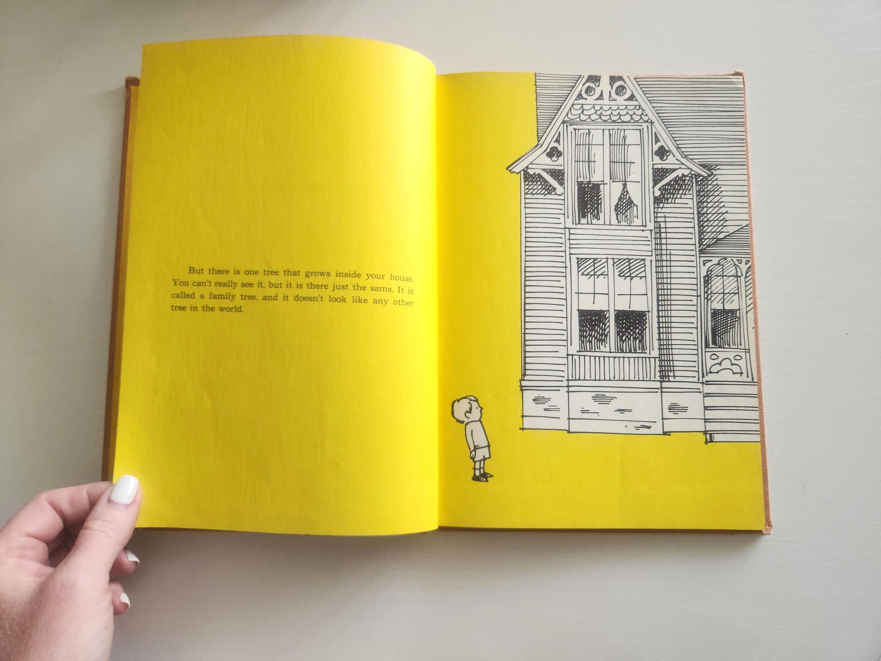 Vintage "Your Family Tree" Children's Book – 1963 Hardcover - image 5