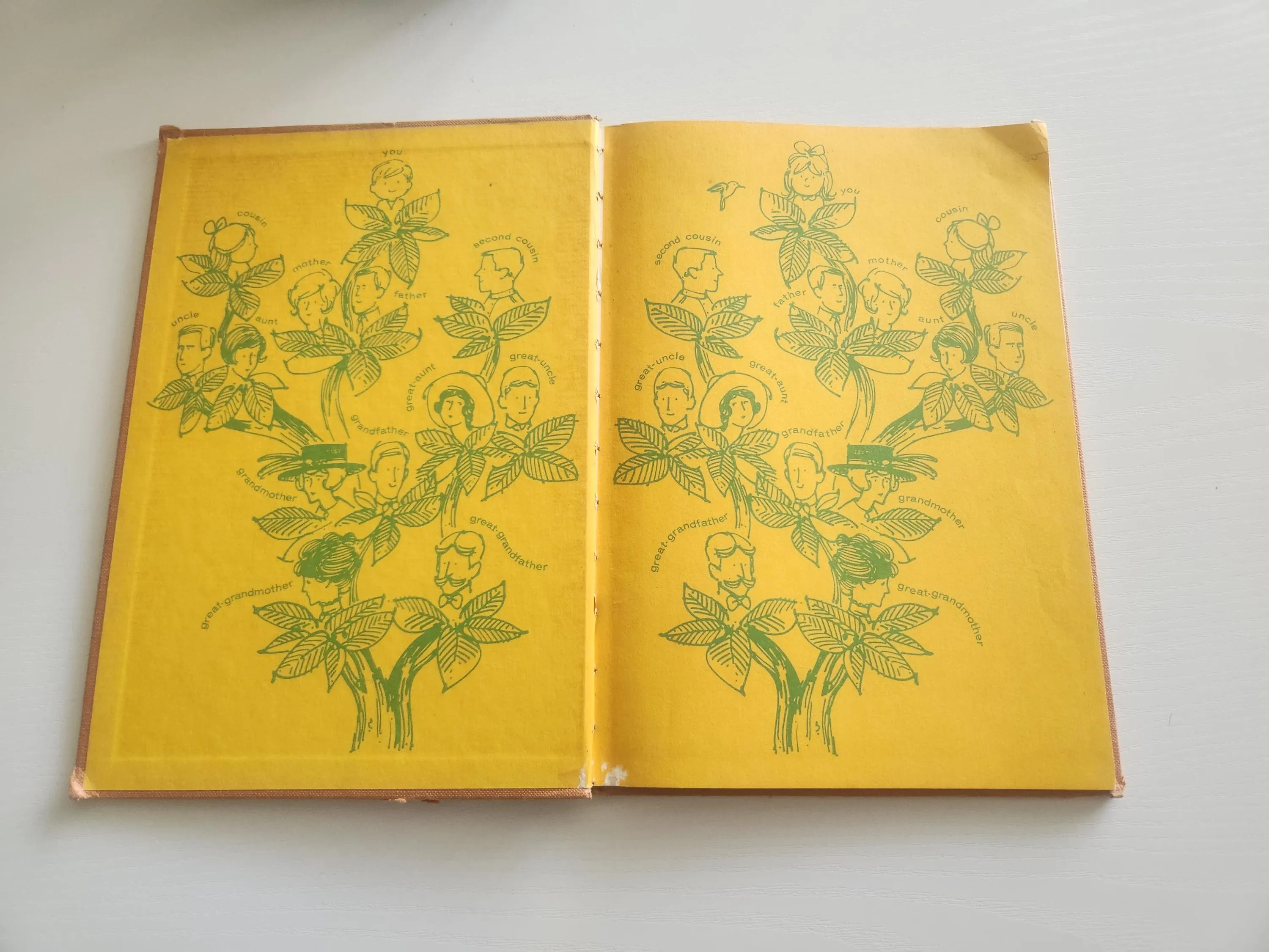 Vintage "Your Family Tree" Children's Book – 1963 Hardcover - image 3