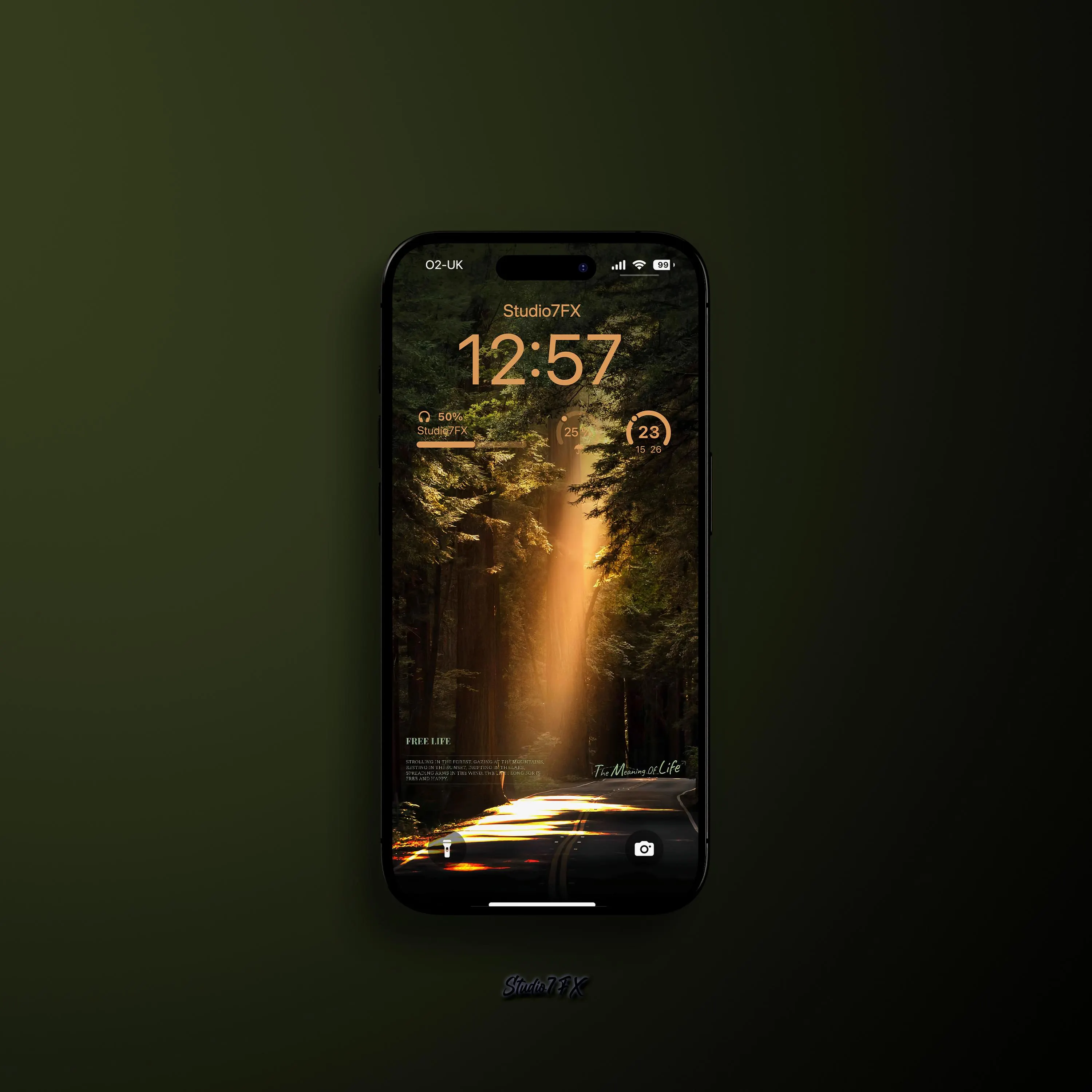 Meaning Of Life | Free Life Nature iPhone Wallpapers | Mobile Phone Wallpaper | iOS LockScreen Wallpaper | Cellphone Wallpaper | Gift | 0401