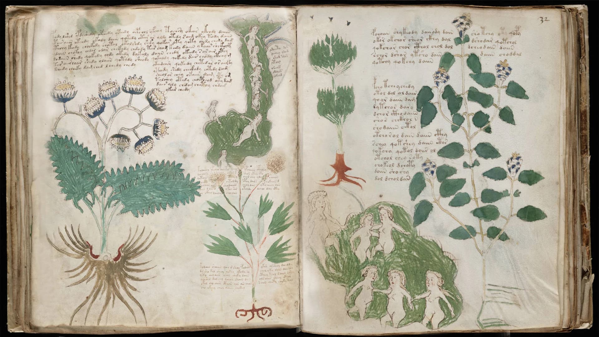 1 Rare Old Books on Voynich Manuscript Medieval Codex Cipher Unknown Language Occult Herbal Alchemy Collection | Size 53.6 MB - image 3