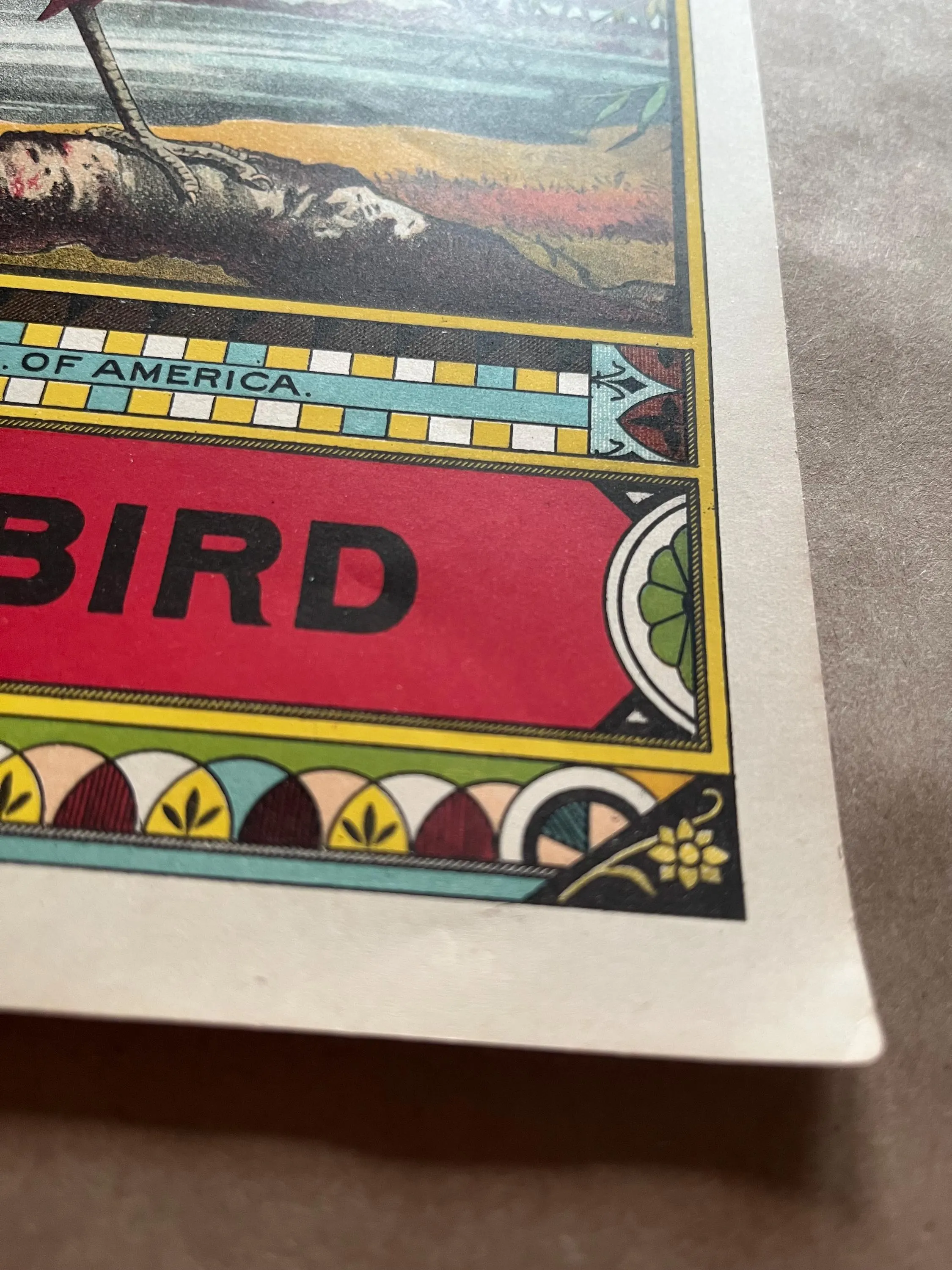 A Hoen & Co Red Bird Lithograph Crate Label Unused Vintage Bird Illustration - image 3
