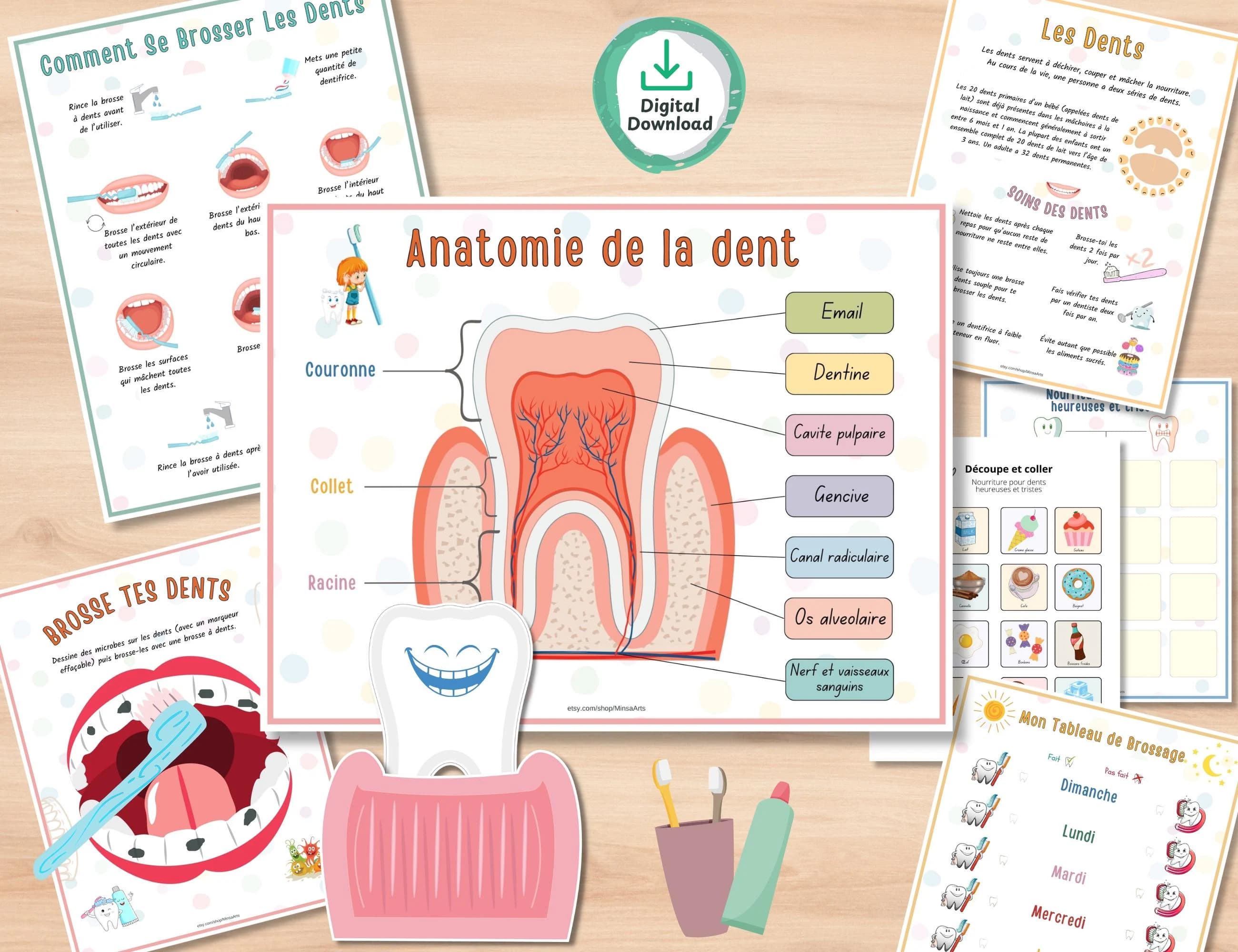 Cahier d’activités anatomie humaine imprimable | École à la maison maternelle | Parties du corps, cerveau, dents, organes cœur apprentissage