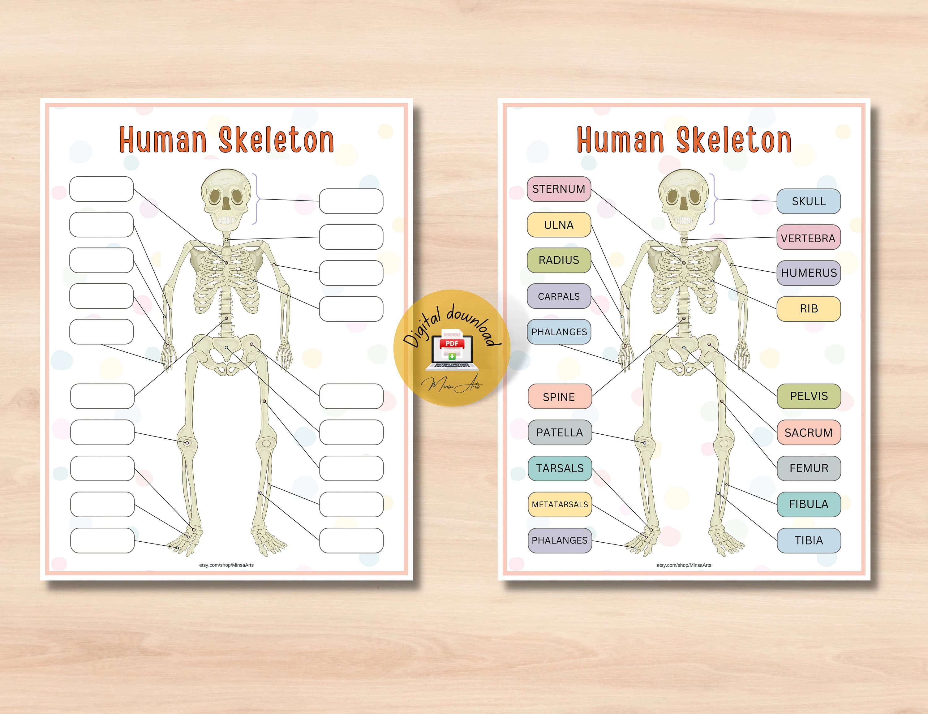 Learn about anatomy in a fun and engaging way with this skeleton activity page