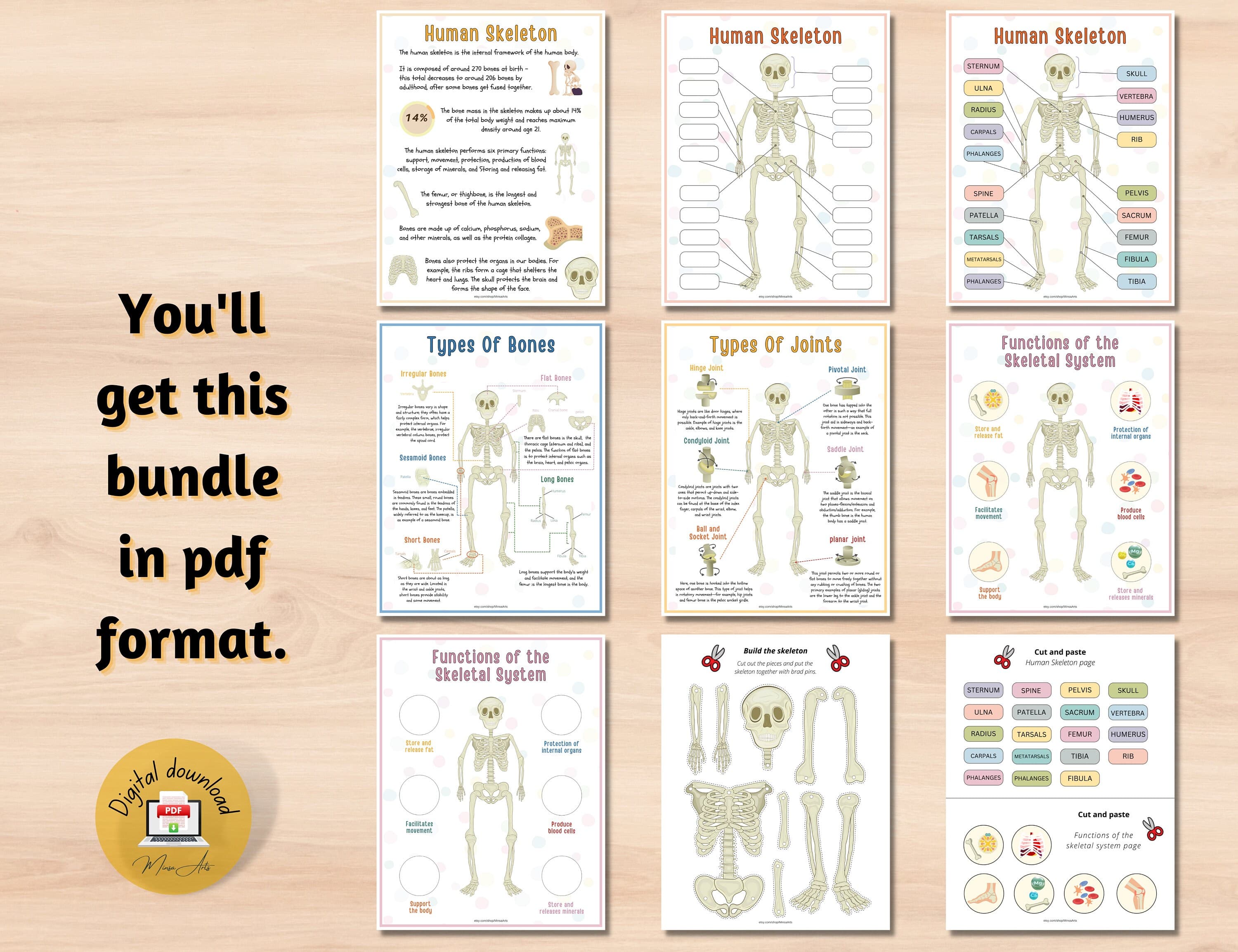 Bring a touch of spookiness to your day with this skeleton-themed activity page