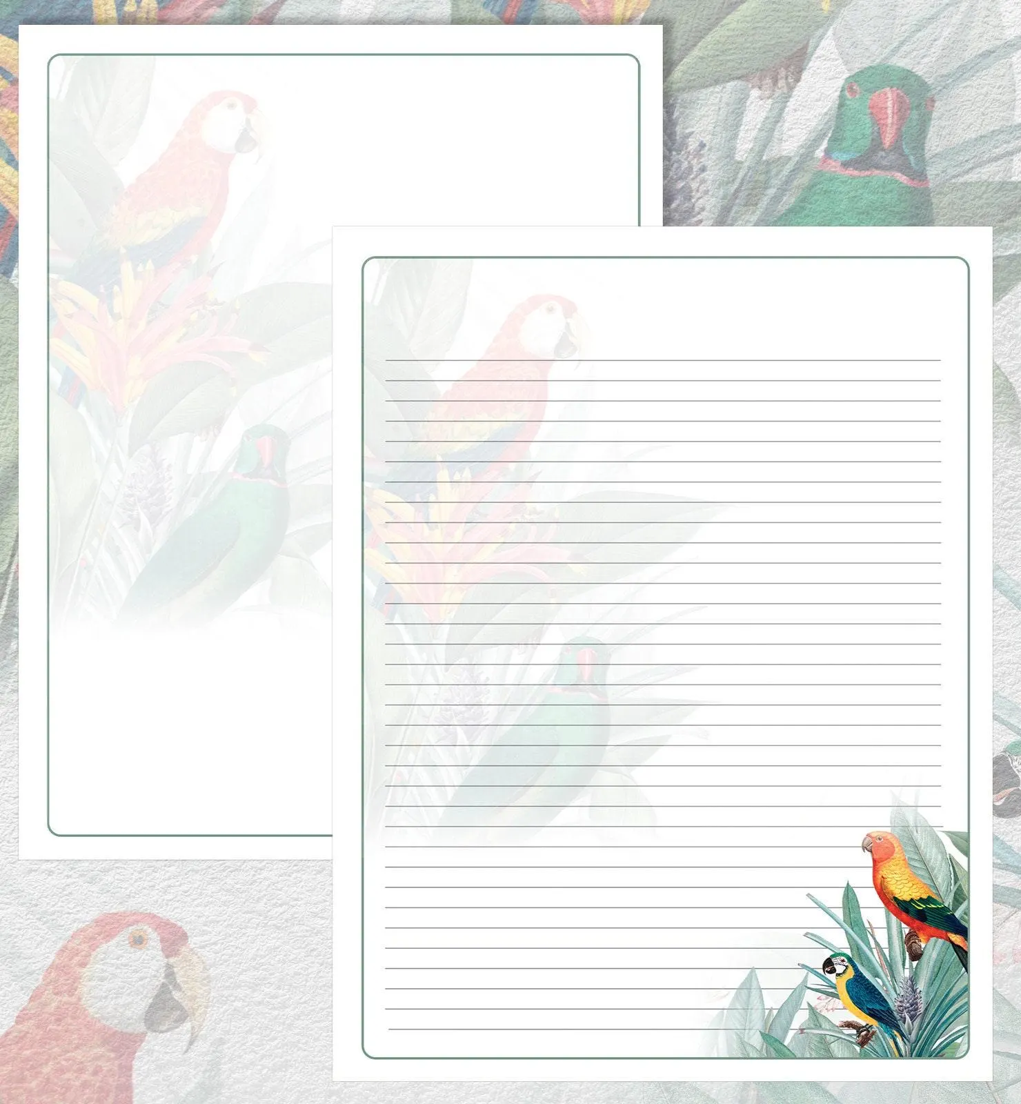 Macaw Theme - JW Downloadable Letterhead Stationery Set - image 4