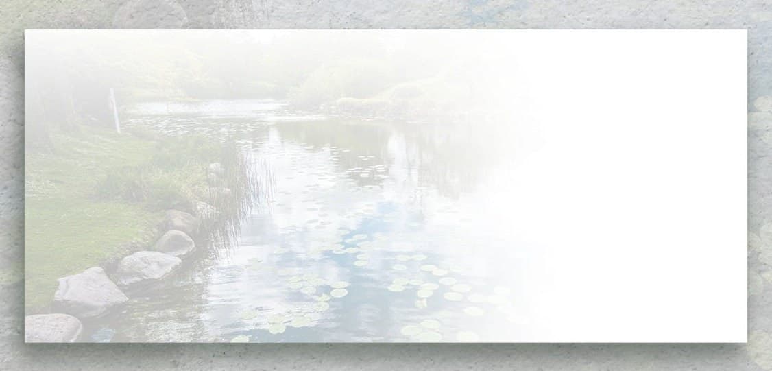 Lily Pond JW Instant Downloadable Stationery - image 4