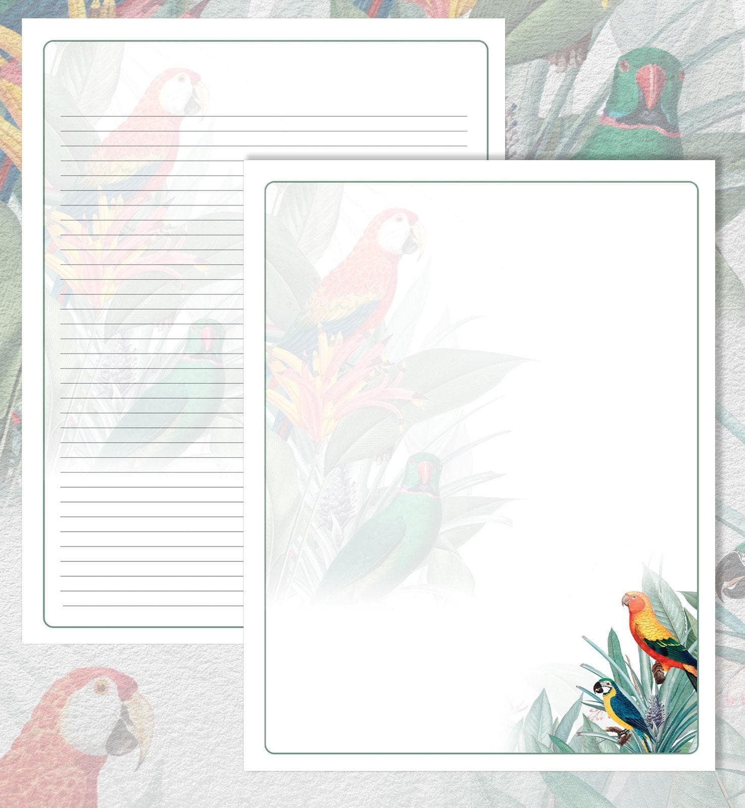 Macaw Theme - JW Downloadable Letterhead Stationery Set - image 3