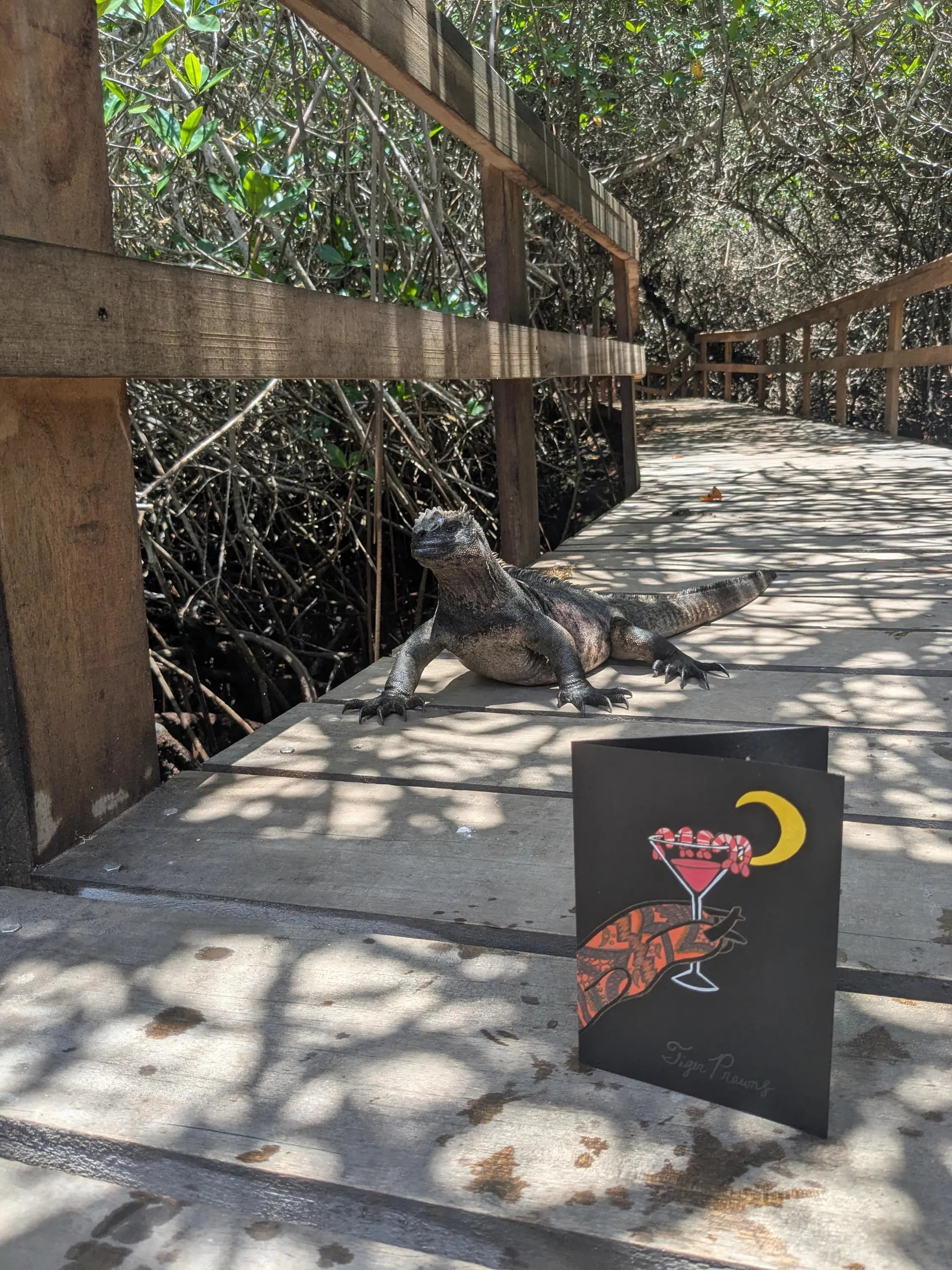 Tiger Prawns - Greeting Card - image 4