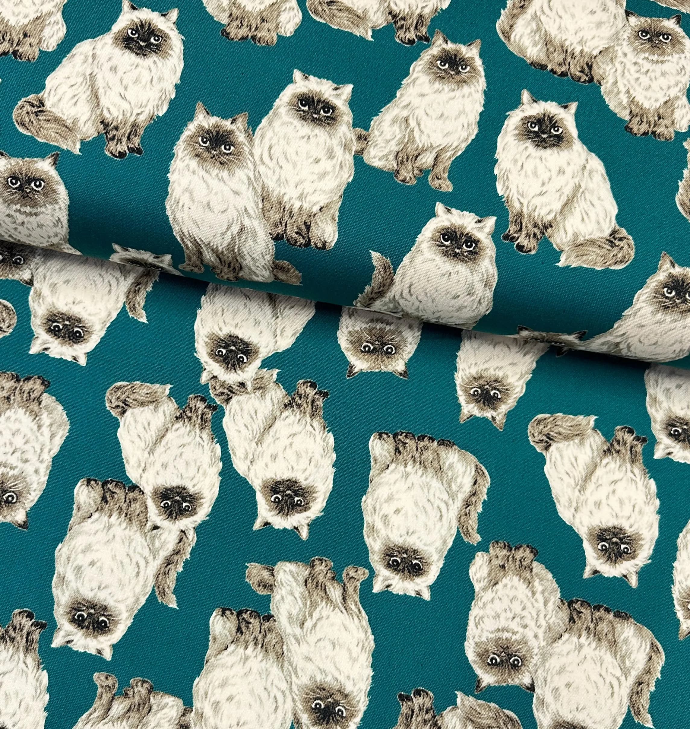 Animal Friends Cat Fabric - Teal - by Sevenberry, Japanese 100% Oxford Cotton, Cat Fabric, By the Metre, Half Metre, Fat Quarter