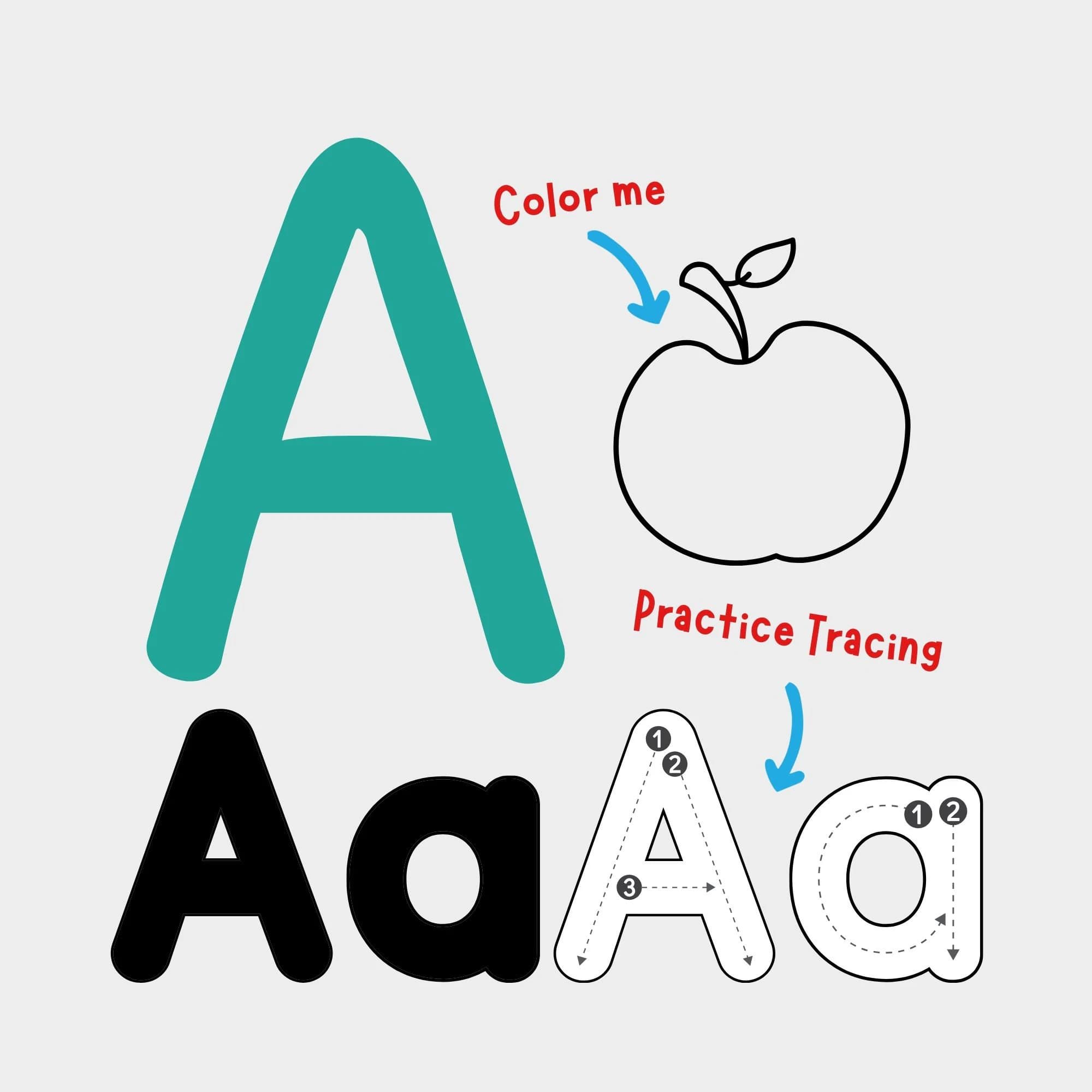 My First English Book: Phonics Learning for Toddlers, Preschoolers Learning Alphabet Activity Book and Tracing First Words in English - image 5