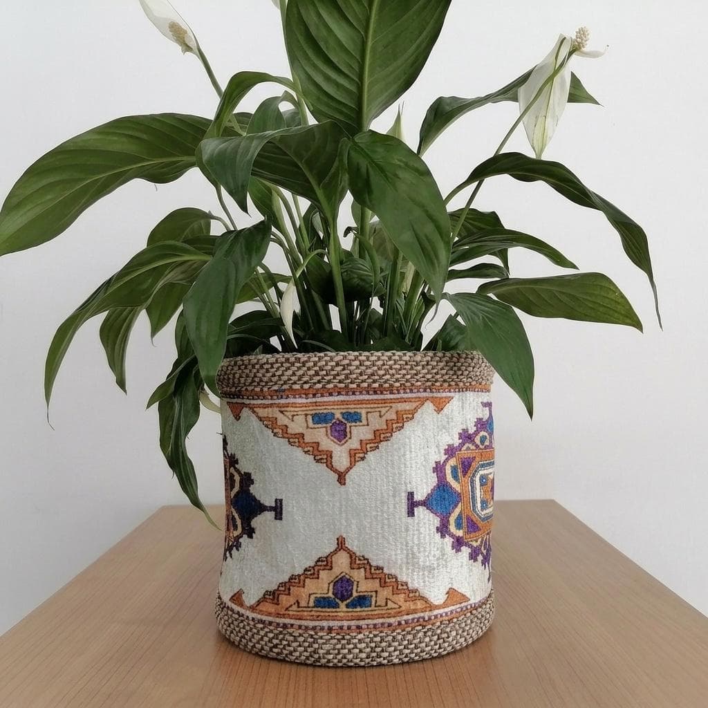 A potted plant with large green leaves sits on a wooden surface, with a colorful woven basket or planter in front of it.