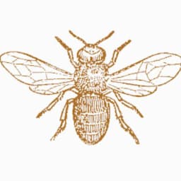 ThriftyBeehiveBoston