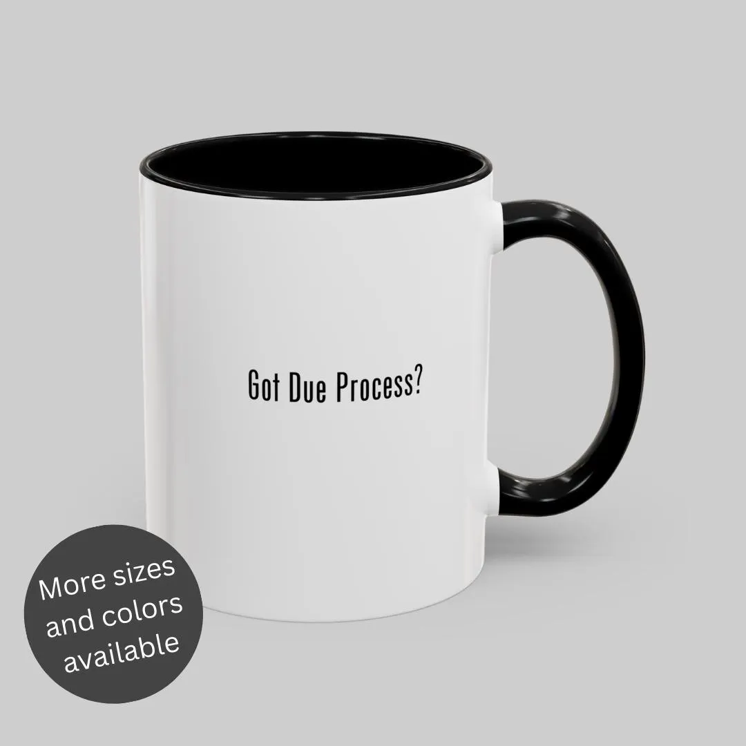 Got Due Process Mug for Lawyer, Mug Gift for Lawyer, Lawyer Mug Funny Gift for Lawyer, Mug for Graduation, Law Students Gifts for Graduation