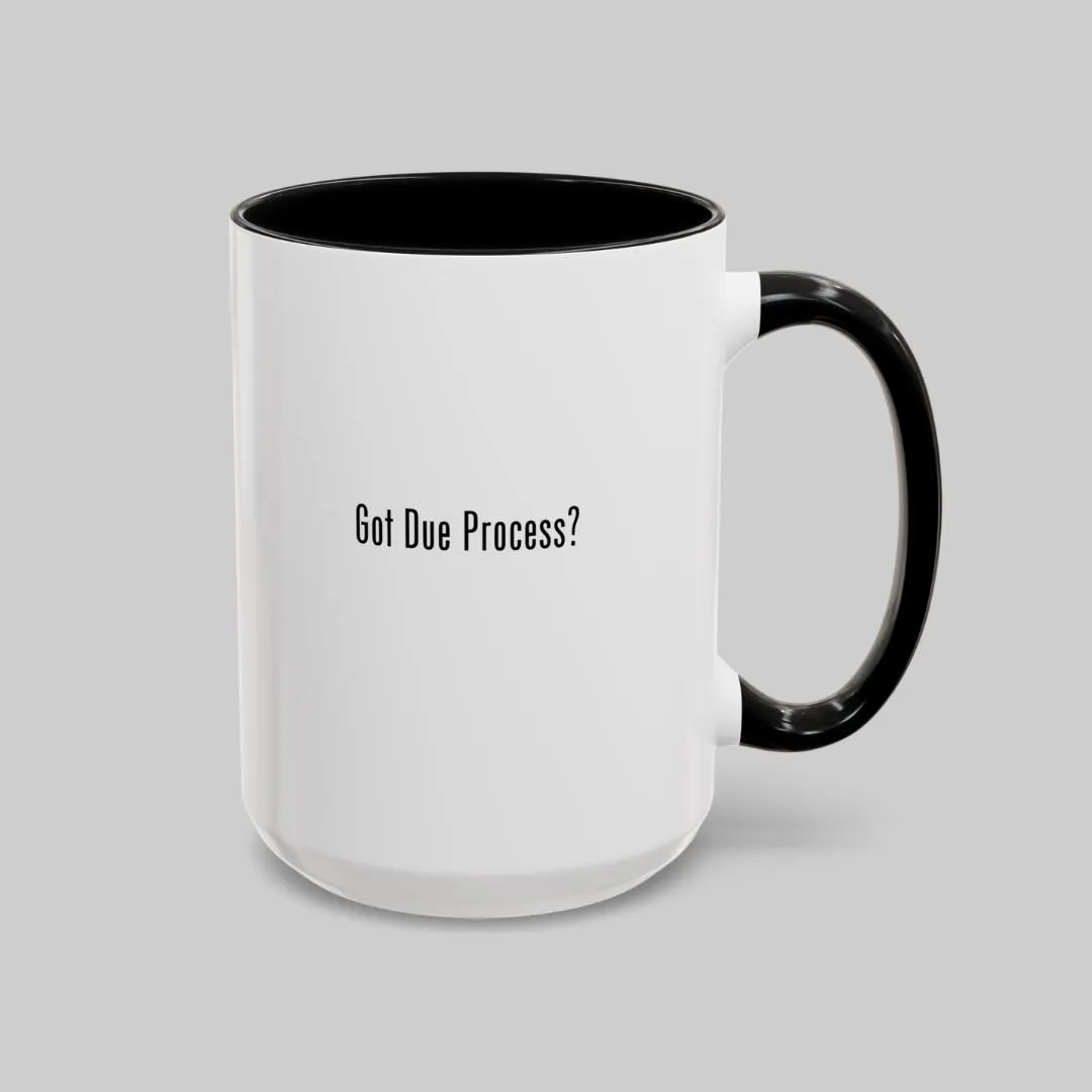 Got Due Process Mug for Lawyer, Mug Gift for Lawyer, Lawyer Mug Funny Gift for Lawyer, Mug for Graduation, Law Students Gifts for Graduation - image 4