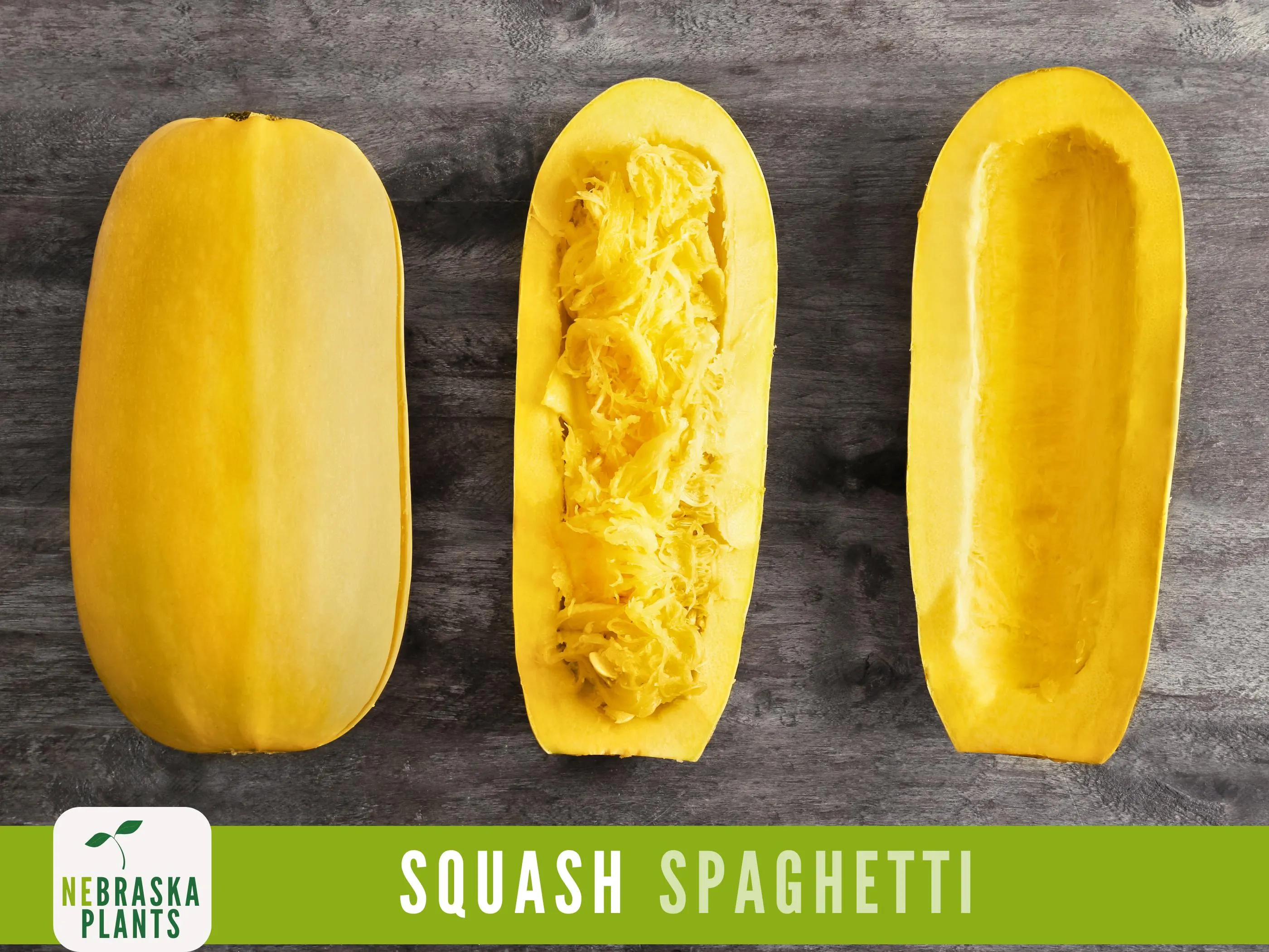 Spaghetti Squash Seeds - Winter Spaghetti Squash Heirloom Seeds