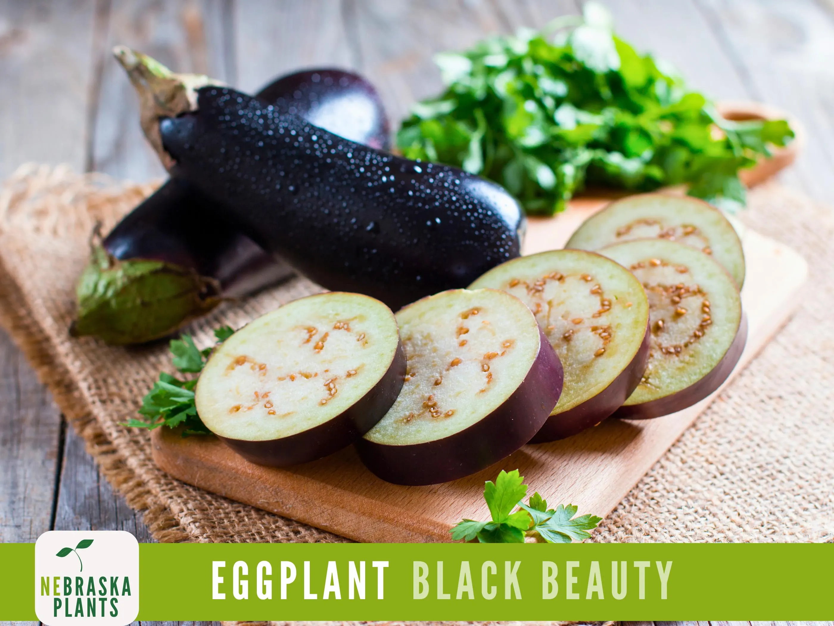 Eggplant Seeds - Black Beauty Eggplant Seeds