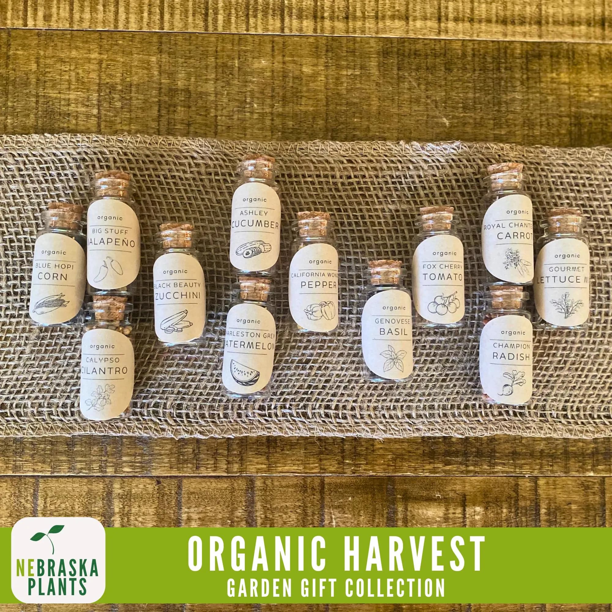 Close-up of organic, non-GMO vegetable and herb seeds from the Organic Harvest Garden Seed Collection