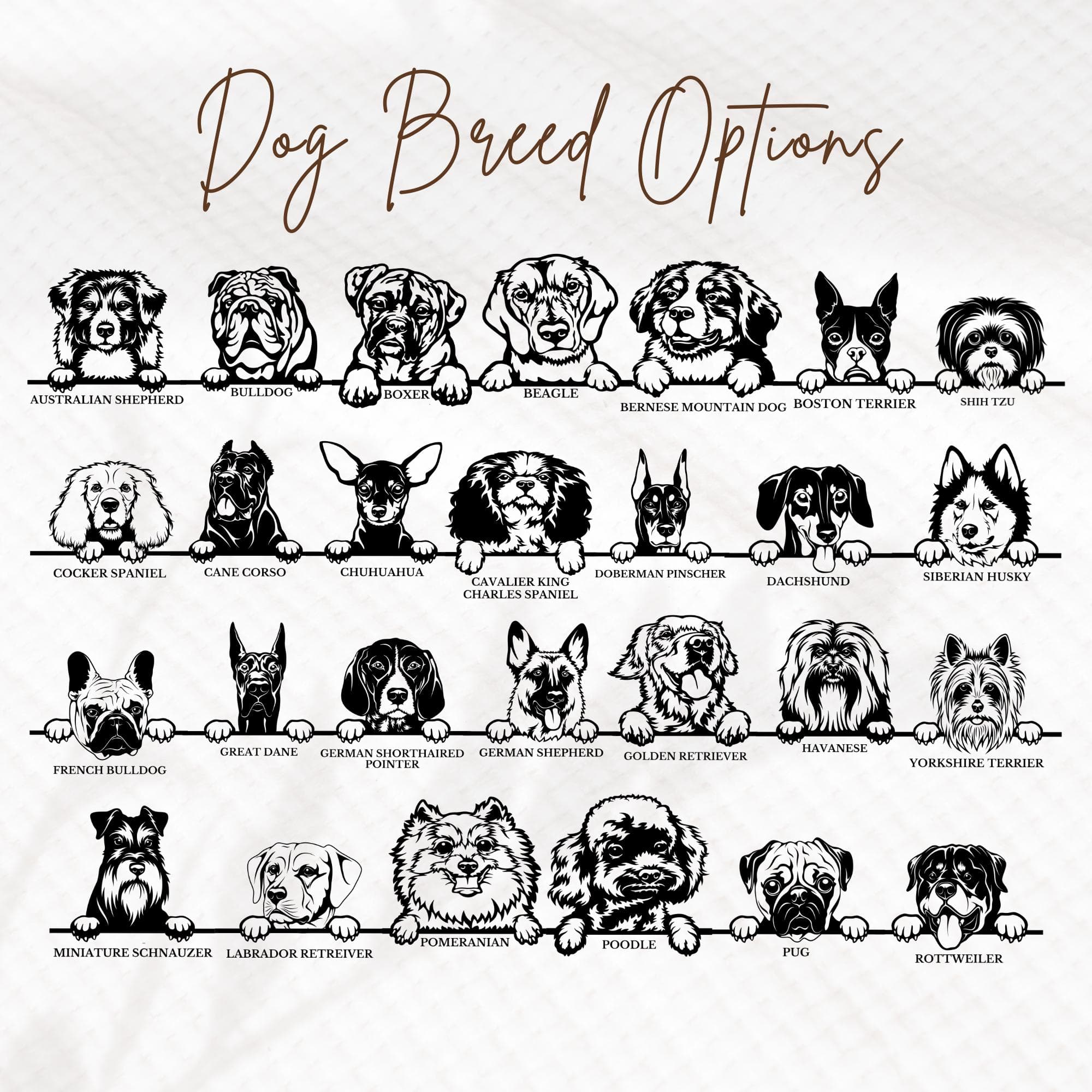 a bunch of dogs that are sitting in a row