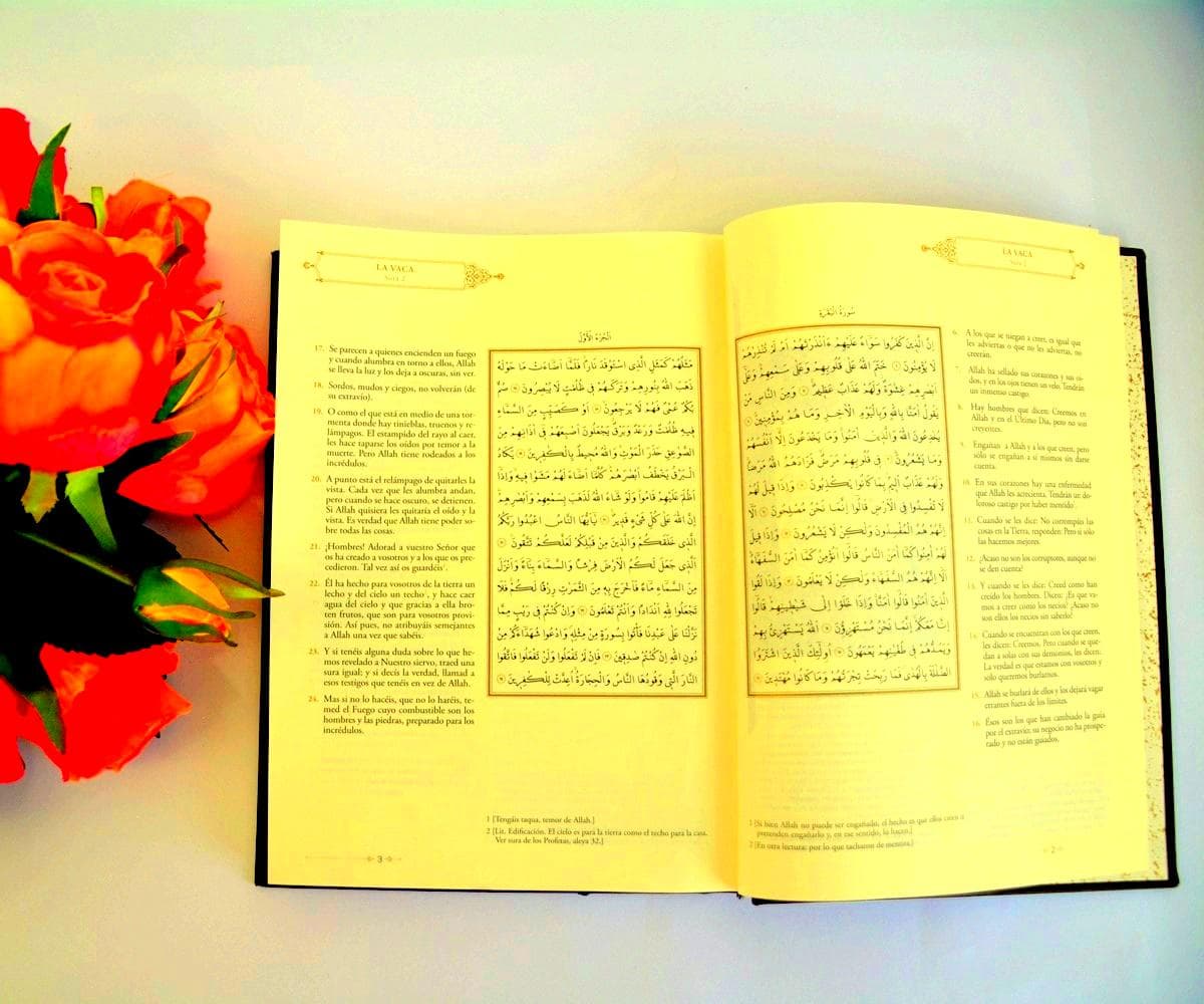 Spanish Arabic Language Quran Book, Spain translation Kuran, Foreign Islamic Bible Religion Holy Coran - image 5