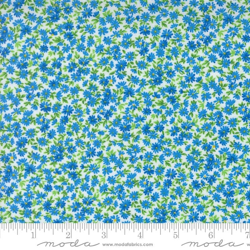 Wildflowers 2024- Cloud- 33776 11- Moda Fabrics