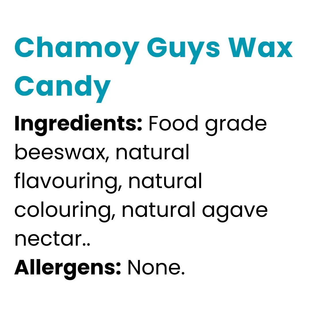 Chamoy Guys Wax Candy 350g - image 3