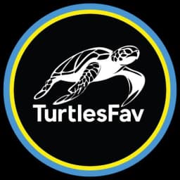 TurtlesFav