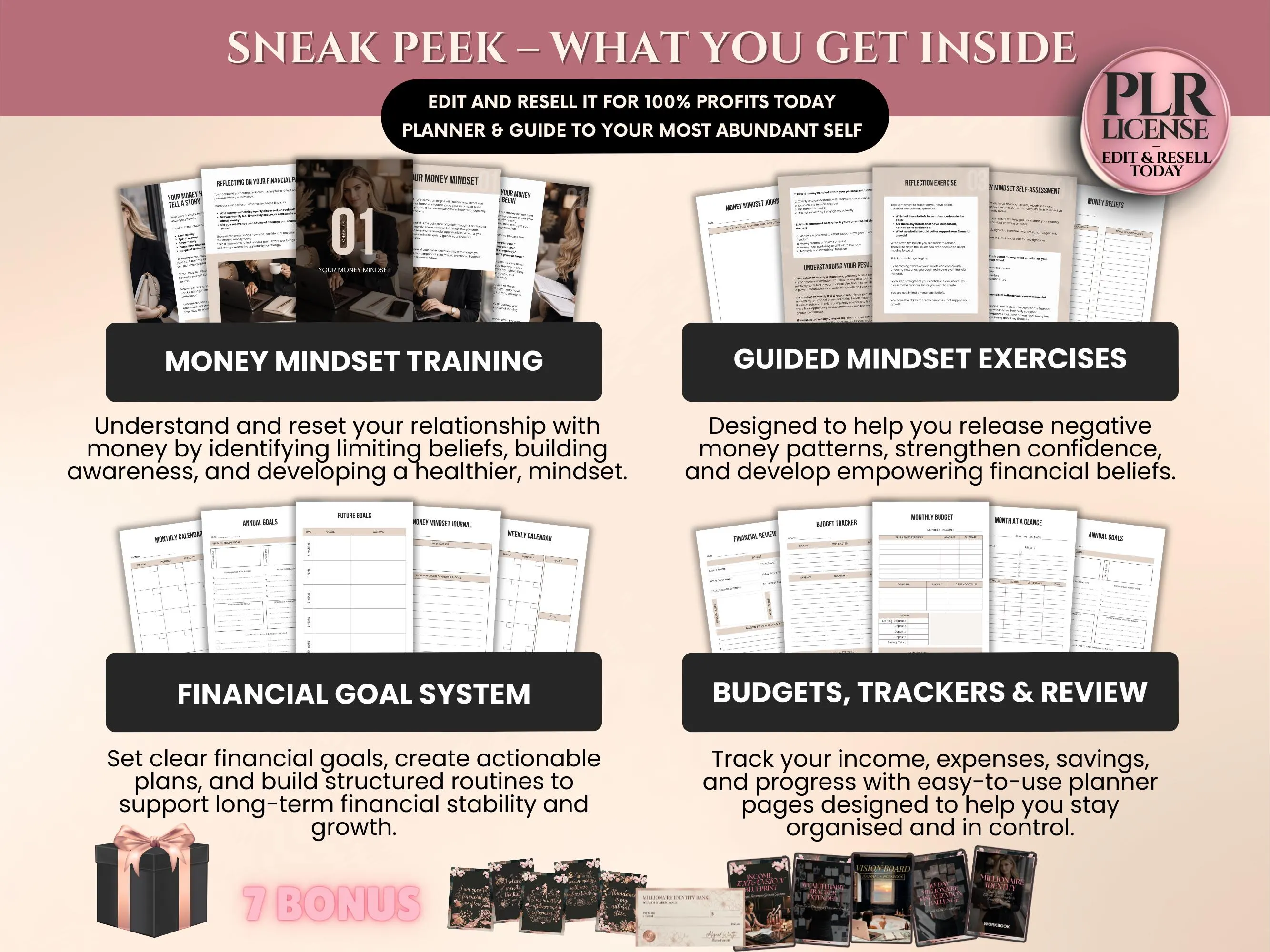 Mindset journal printable PLR system for wealth identity transformation