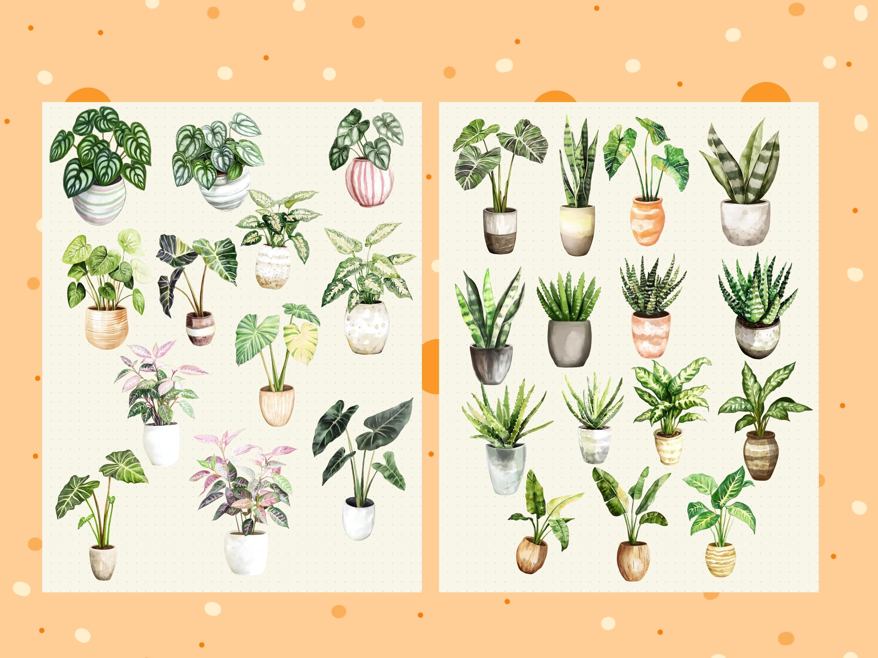 Botanical Digital Stickers for GoodNotes, OneNote, Notability | 121+ Bundle Flower PNG Sticker Pack | Digital Planner Stickers 300 DPI - image 5
