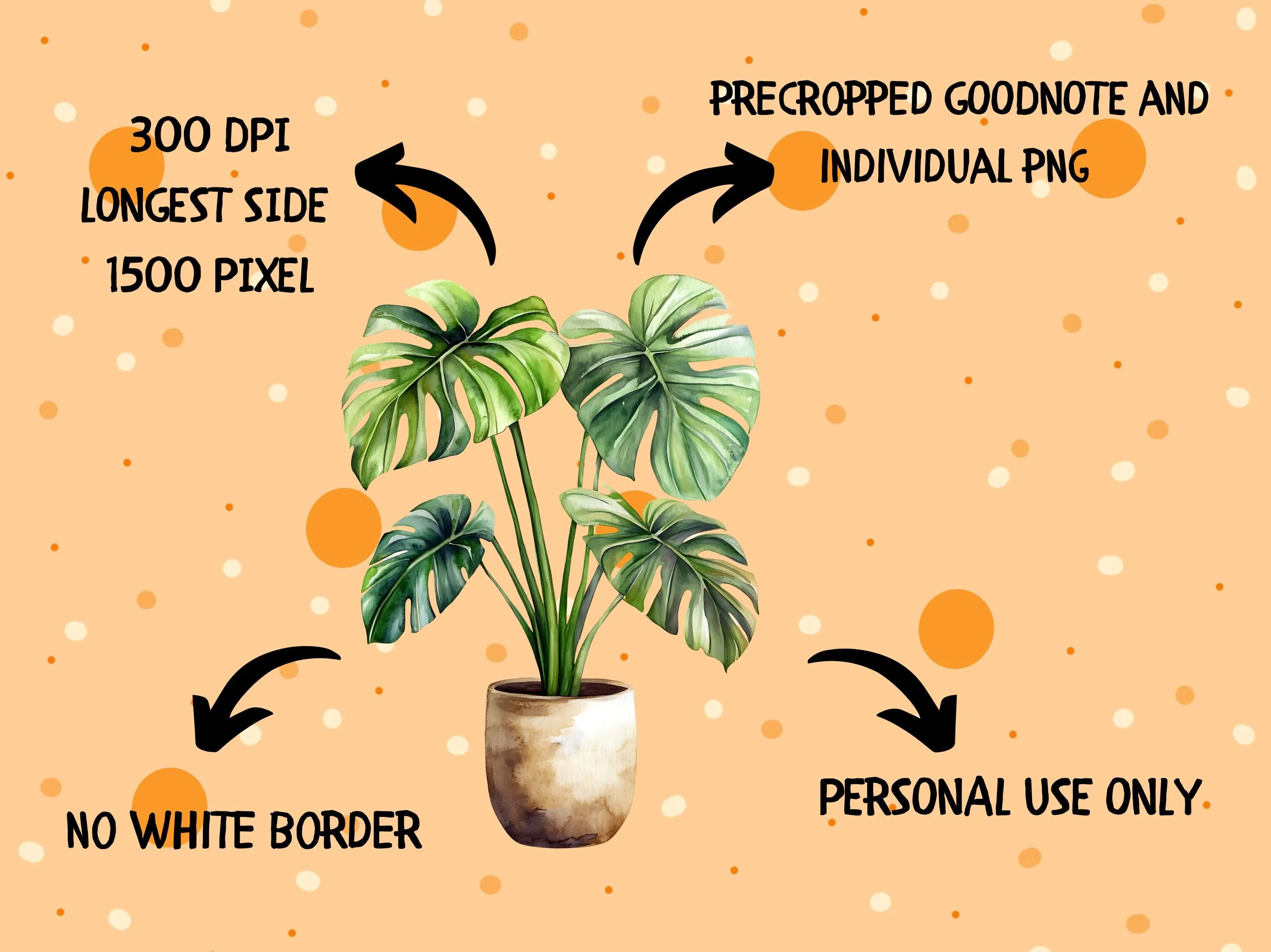 Botanical Digital Stickers for GoodNotes, OneNote, Notability | 121+ Bundle Flower PNG Sticker Pack | Digital Planner Stickers 300 DPI - image 3