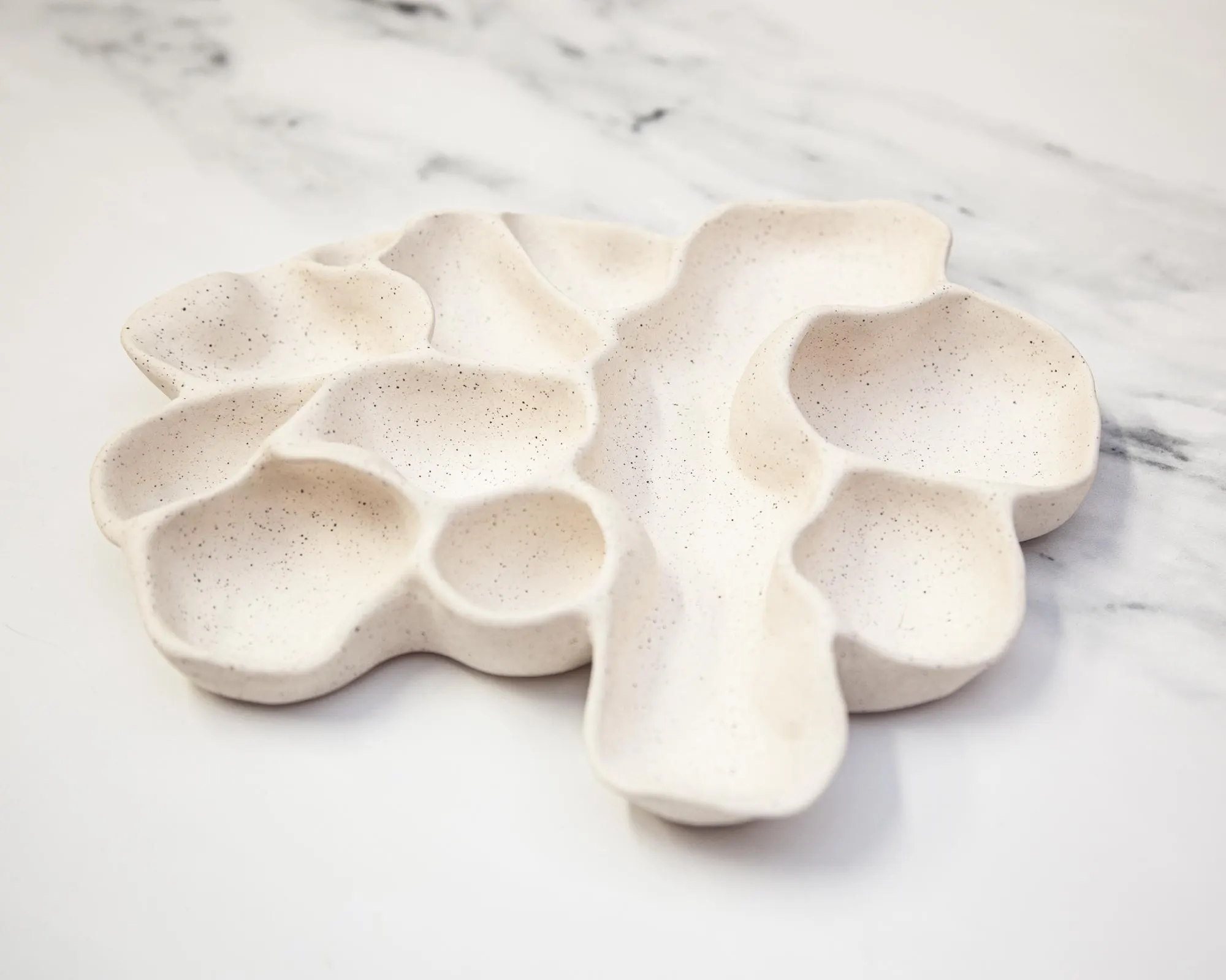 Large Speckled Ceramic Organic Jewelry Tray with Compartments, Curio Trinket Treasure Curiosity Irregular Display - image 4