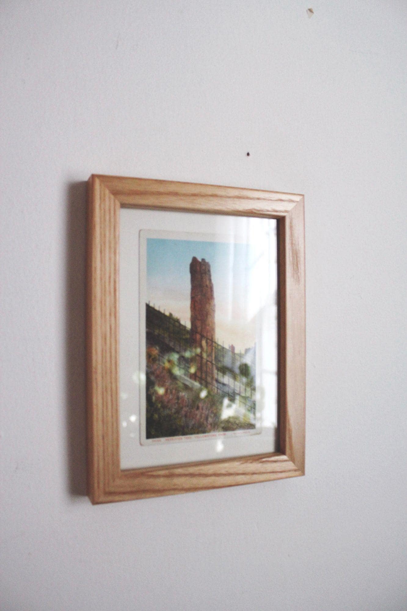 Framed Vintage Yellowstone Park Postcard Petrified Tree Wood Frame Wall Art Decor 5x7 - image 4