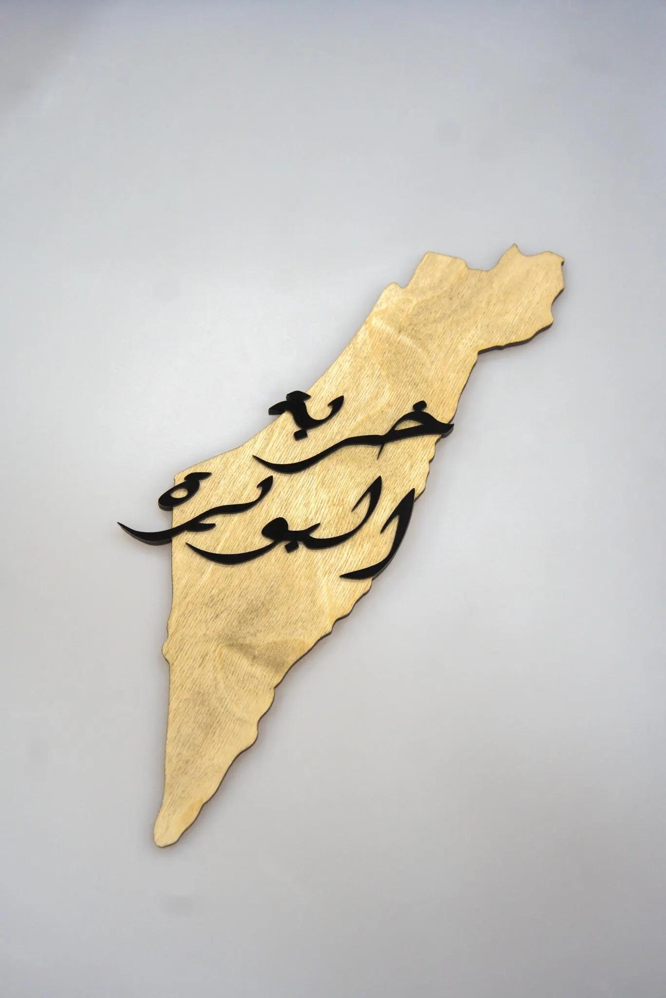 Palestine Map with a Featured City Wall Art - image 5