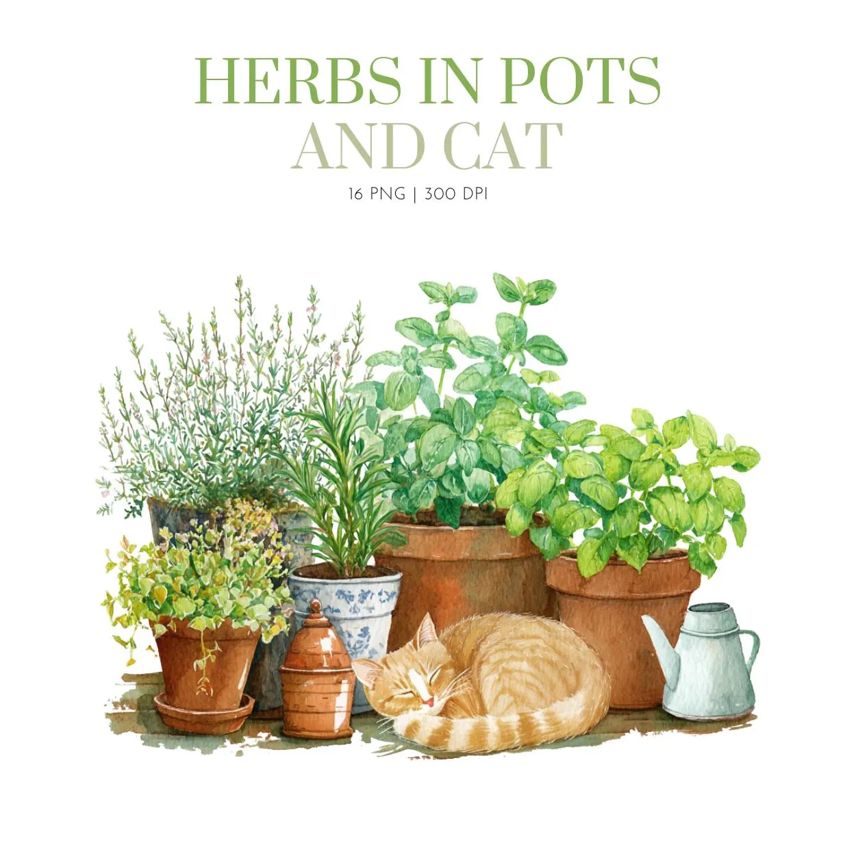 Watercolor Herbs in Pot with cat, Watercolor gardening clipart ,plants png ,herbs clipart, rustic farmhouse clipart, potted plants and herbs