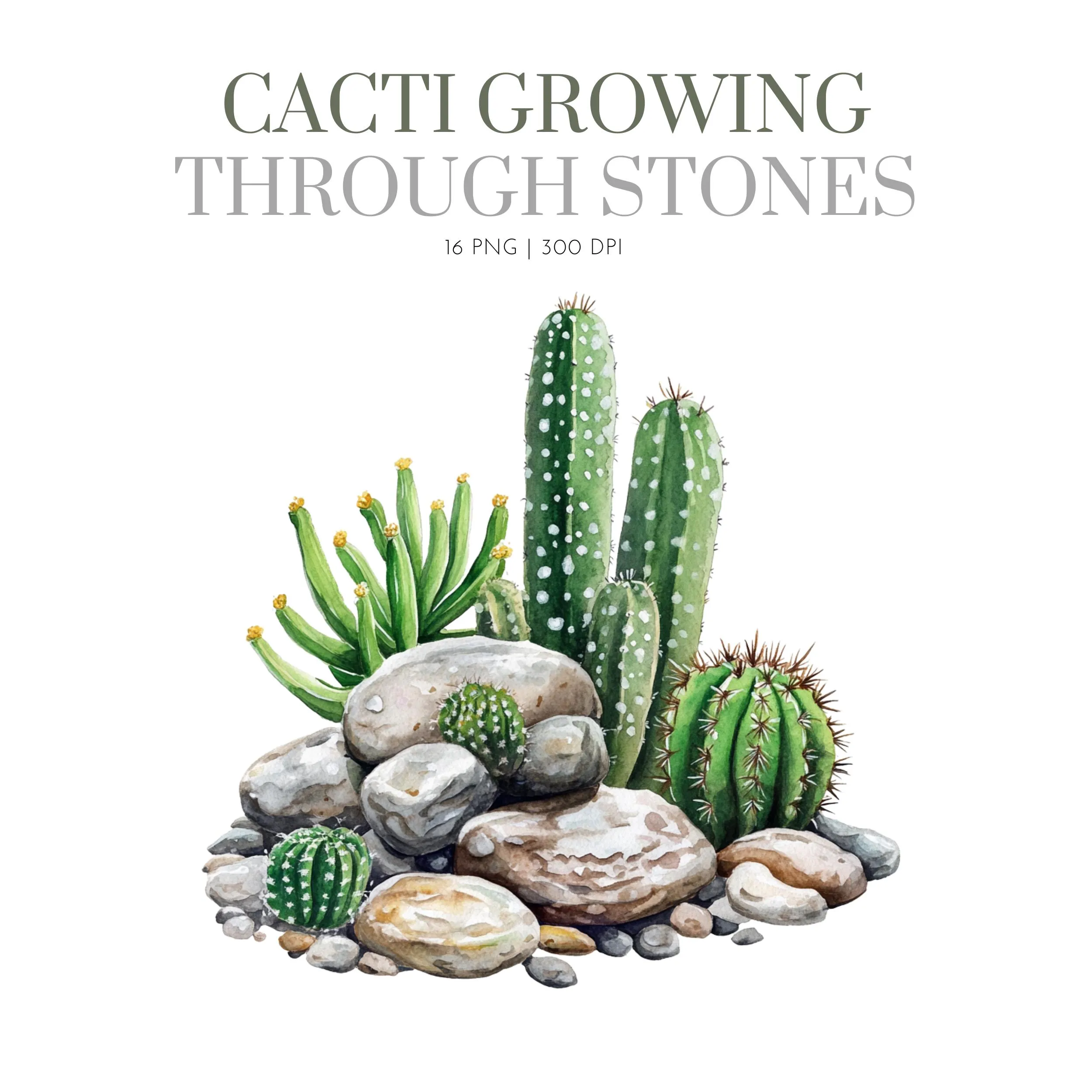 Cactus clipart Rocky Garden Clipart, Cactus Watercolor Desert clipart ,Cactus on stone, cactus design, desert scene,cactus png ,Stone Garden