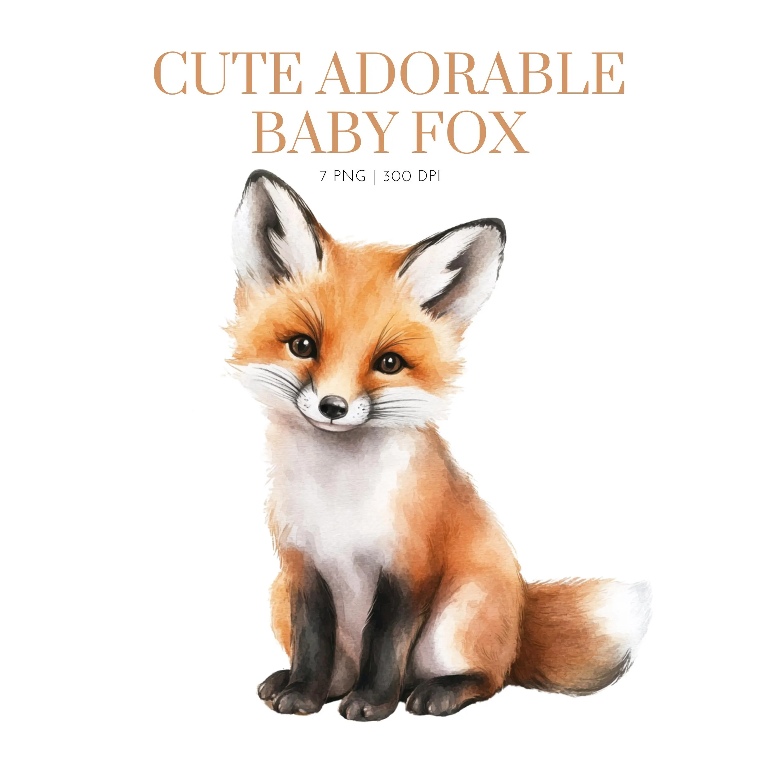 Baby Fox Baby Clipart, Fox Clipart, Little Fox Watercolor clipart, Watercolor Baby Fox clipart, Adorable Fox png, Wild animal, Fox images