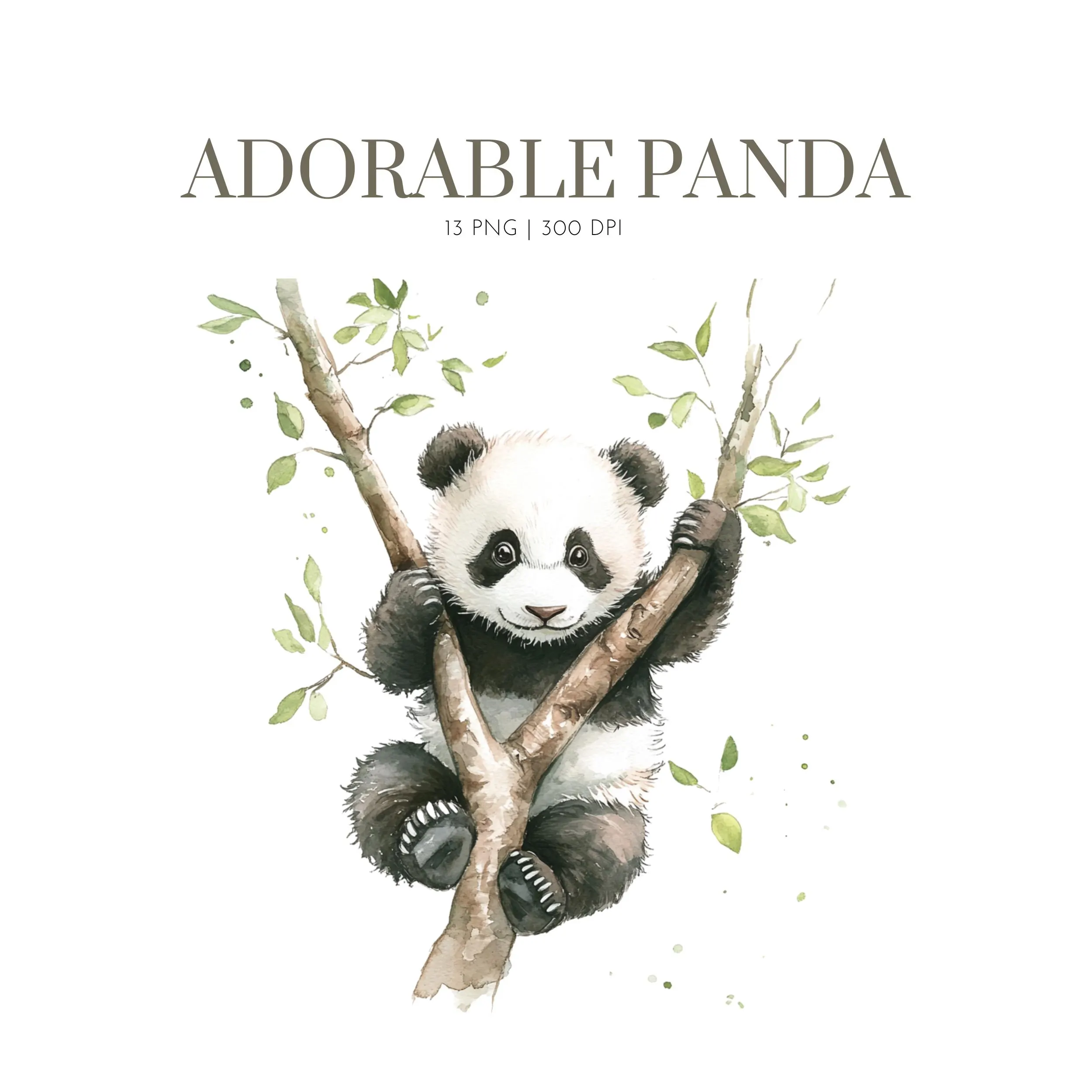 Cute Panda Watercolor Clipart, Adorable Panda Clipart ,Baby cute panda, Funny Panda clipart, panda eating, adorable panda, baby panda png