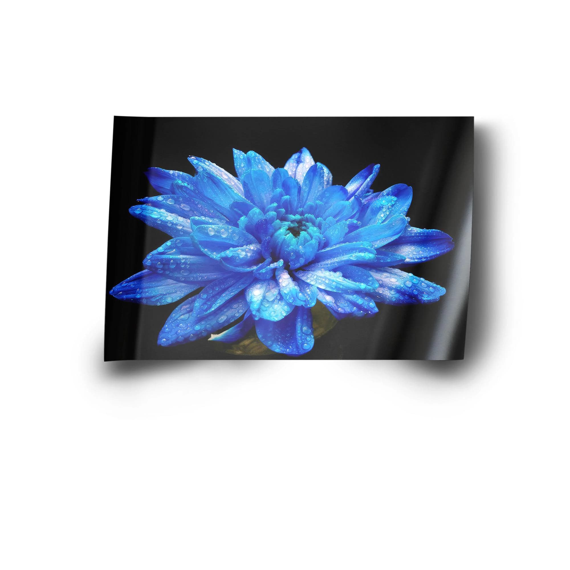 Blue Canvas Art, Blue Flower Art, Black Canvas Art, Modern Art Decor, Luxury Wall Decor, Modern Canvas Art, Floral Wall Art, Canvas Art - image 3