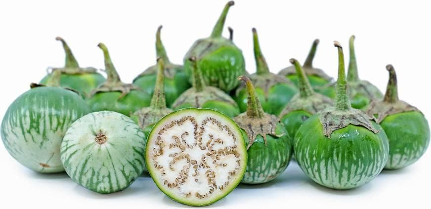 Green Thai Eggplant (Small) Starter Live Plants (4 Seedlings) - image 3