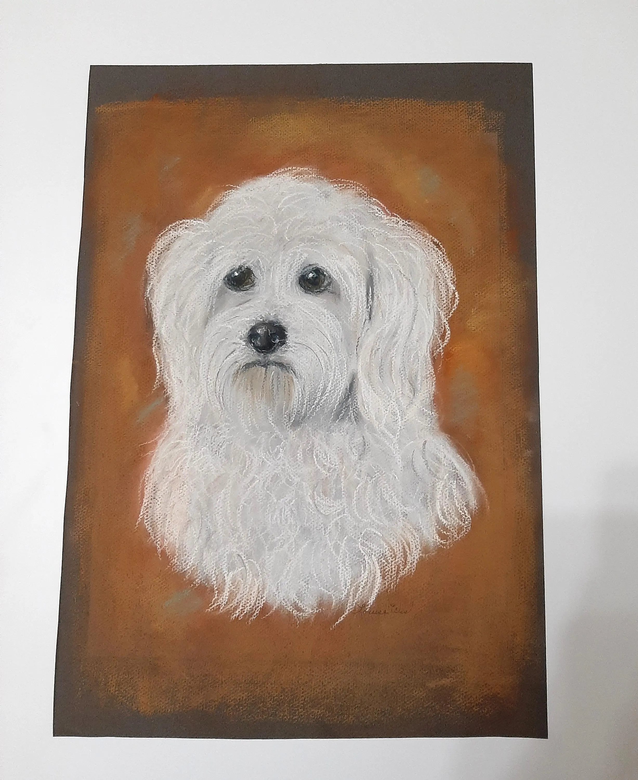 Sad White Shaggy Dog Bichon Frise Original Pastel Drawing Signed Louise West 12 x 18 Inches Unframed - image 3