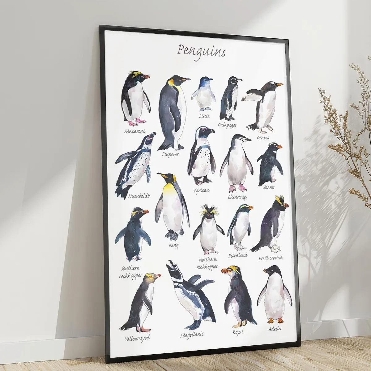 Artistic Penguin Print Poster Beautifully Illustrated Penguin Species Perfect Wall Art Gifts For Animal Lovers - image 5