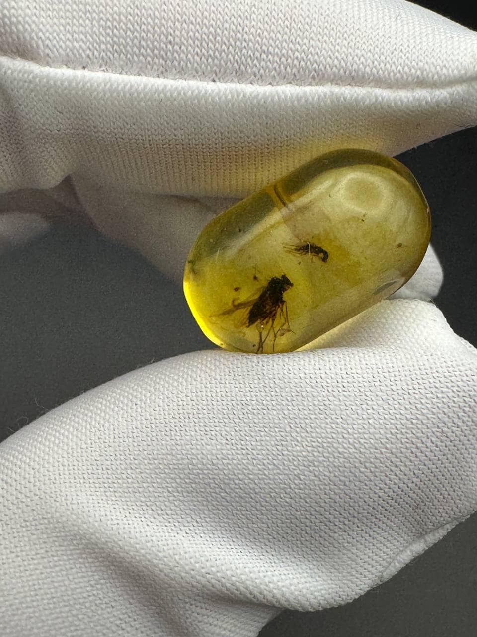 Baltic Amber Stone: Fossilized Resin with Two Insect Inclusions - image 4