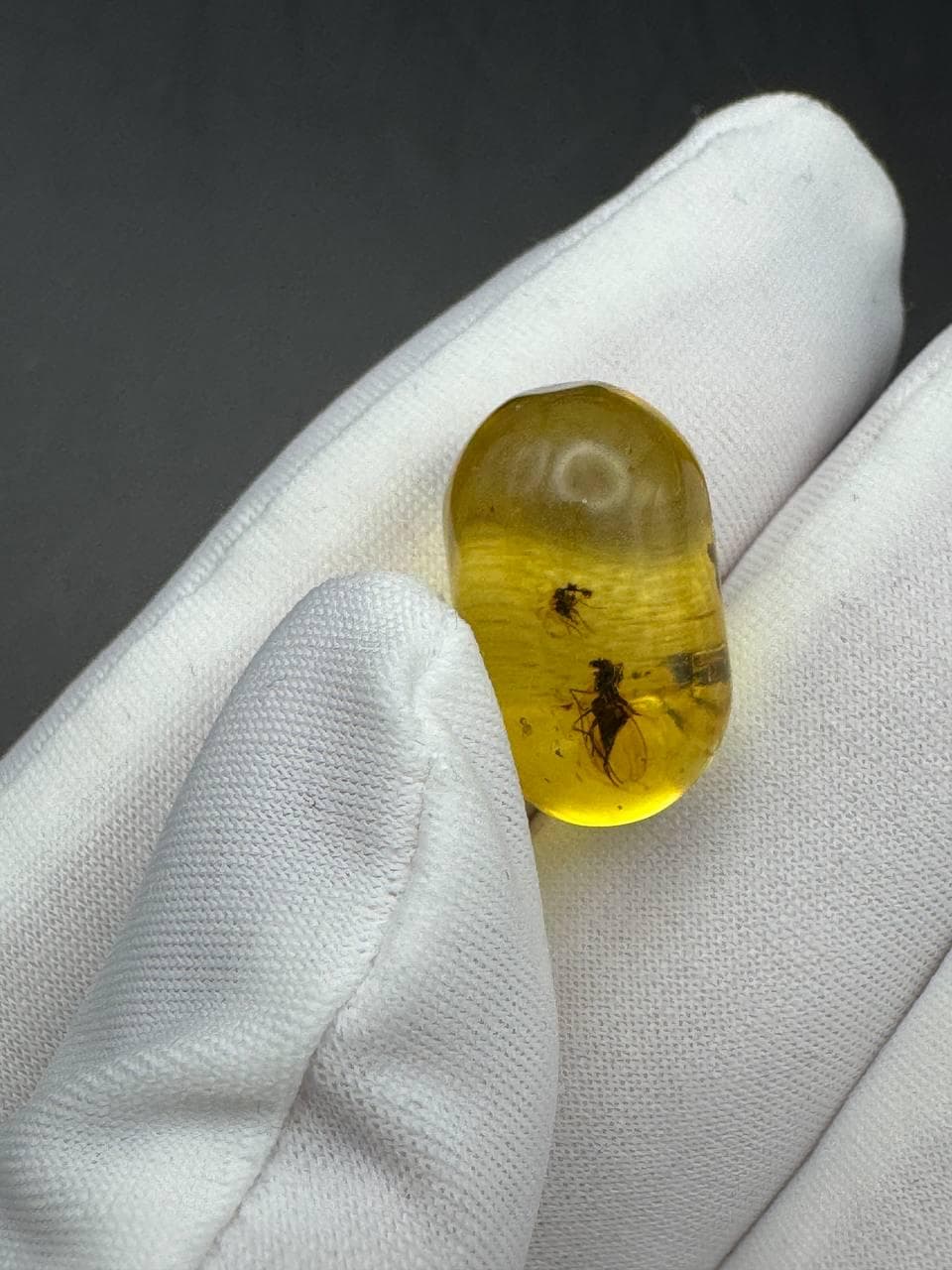 Baltic Amber Stone: Fossilized Resin with Two Insect Inclusions - image 2