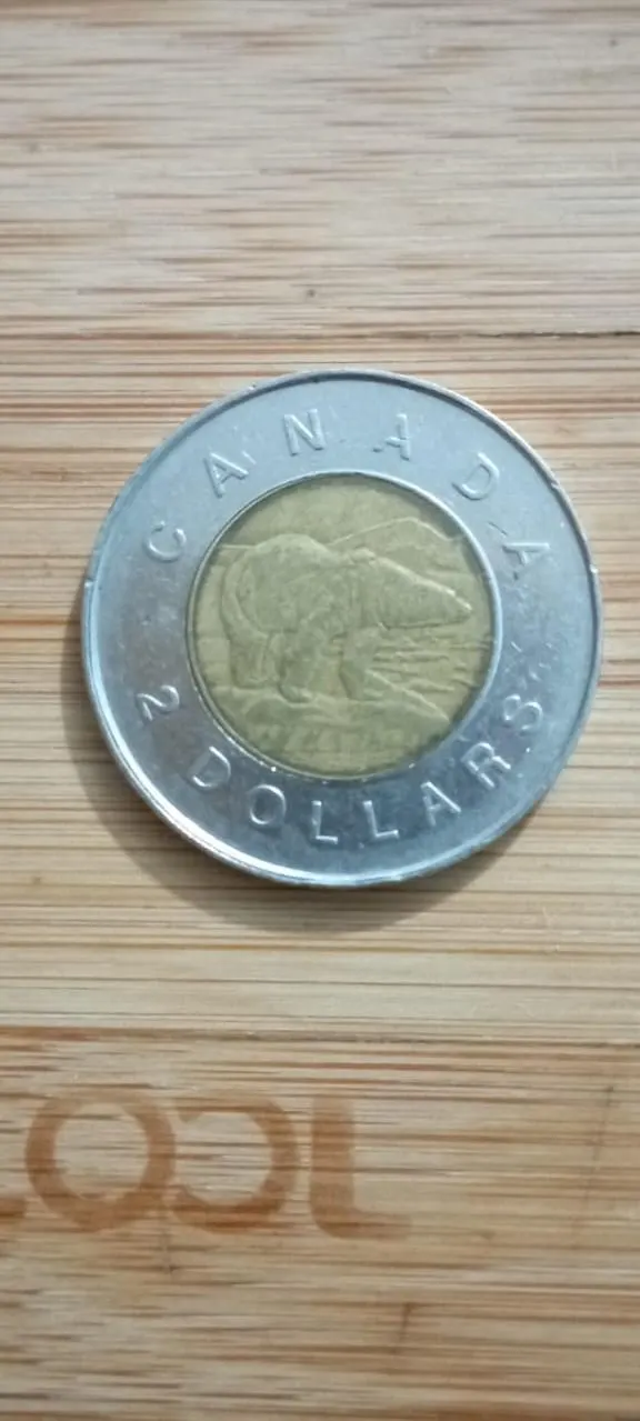 1996 Canada 2 Dollar Coin Elizabeth II D.G. Regina Toonie | Vintage Canadian Coin | First Year Issue | Coin Collector Gift - image 4