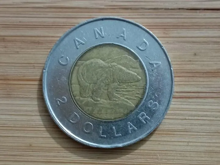 1996 Canada 2 Dollar Coin Elizabeth II D.G. Regina Toonie | Vintage Canadian Coin | First Year Issue | Coin Collector Gift - image 3