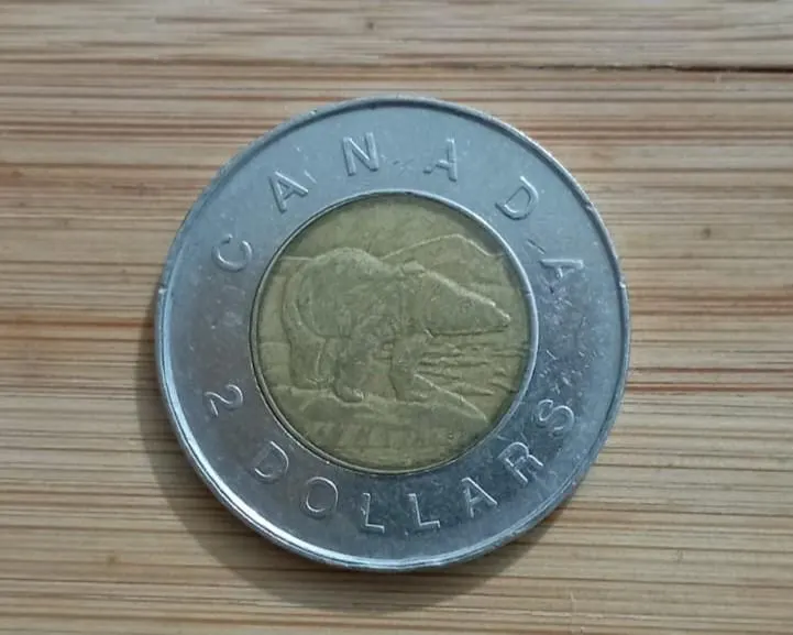 1996 Canada 2 Dollar Coin Elizabeth II D.G. Regina Toonie | Vintage Canadian Coin | First Year Issue | Coin Collector Gift - image 2