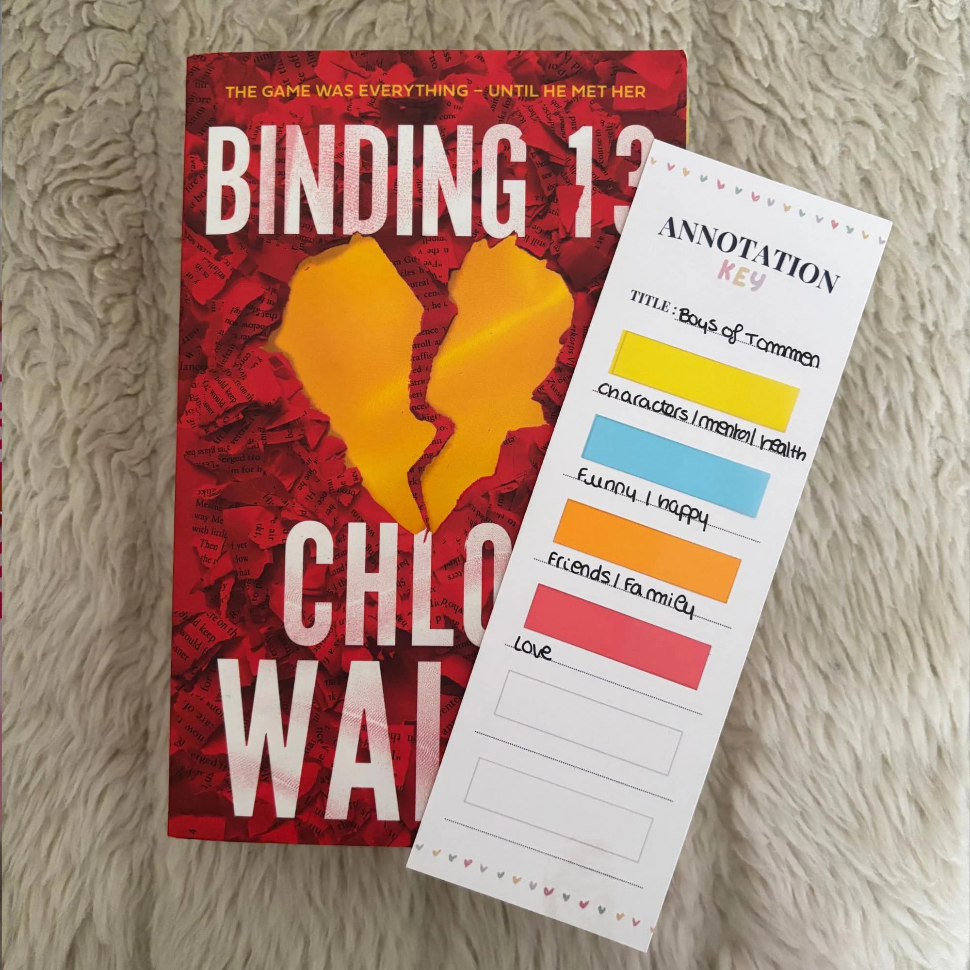 Boys of tommen SERIES ANNOTATED BOOKS by Chloe Walsh Shannon Lynch | Binding 13 | Bookstagram | Booktok Merch | Johnny Kavanagh | Keeping 13 - image 3