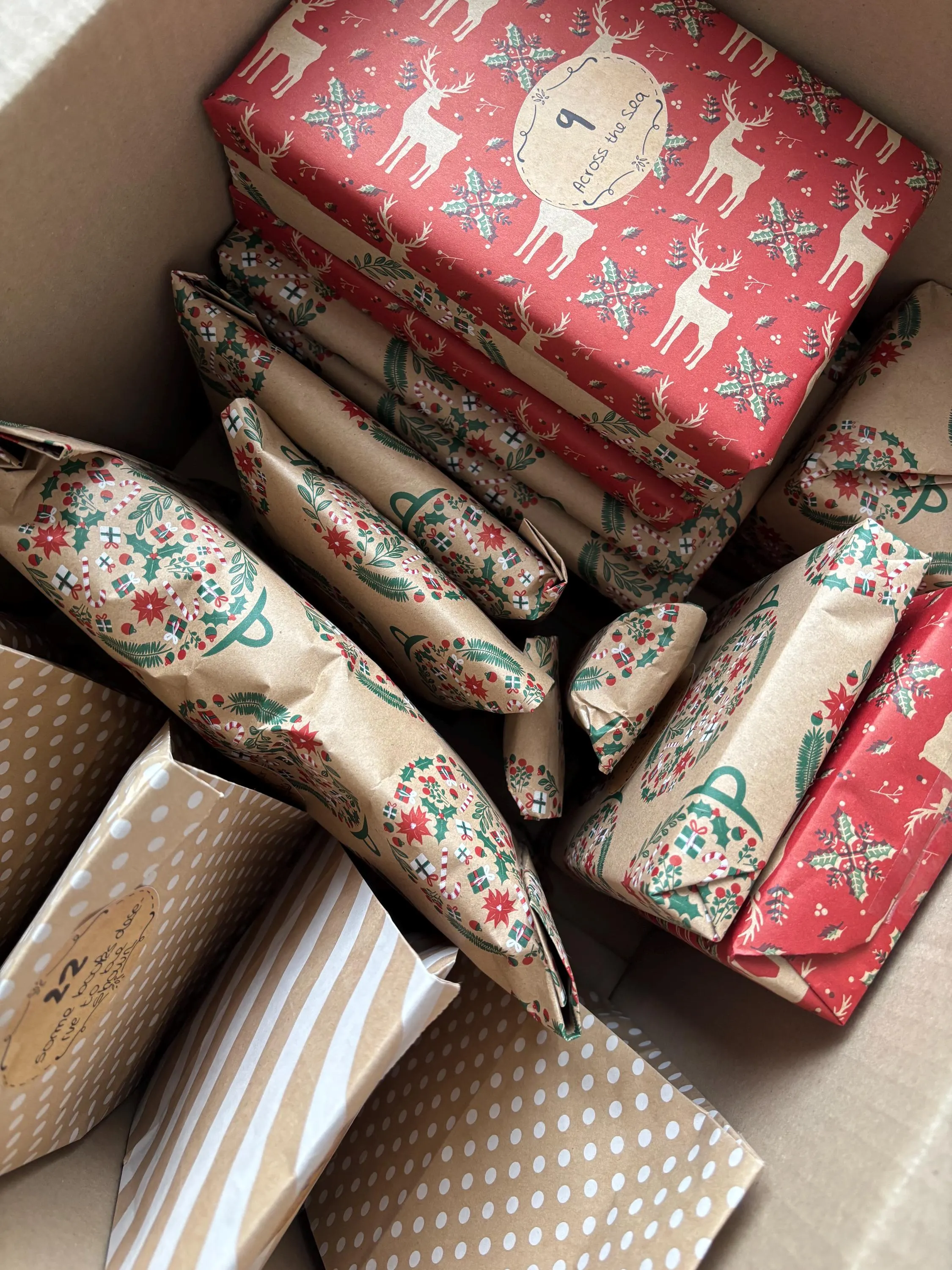 BOOKISH ADVENT CALENDAR 2026 | Christmas Gift Box | Book Lover Gift Box | Book Blind Date | Booktok Merch | Mystery Box | Self Care Gift Box - image 5