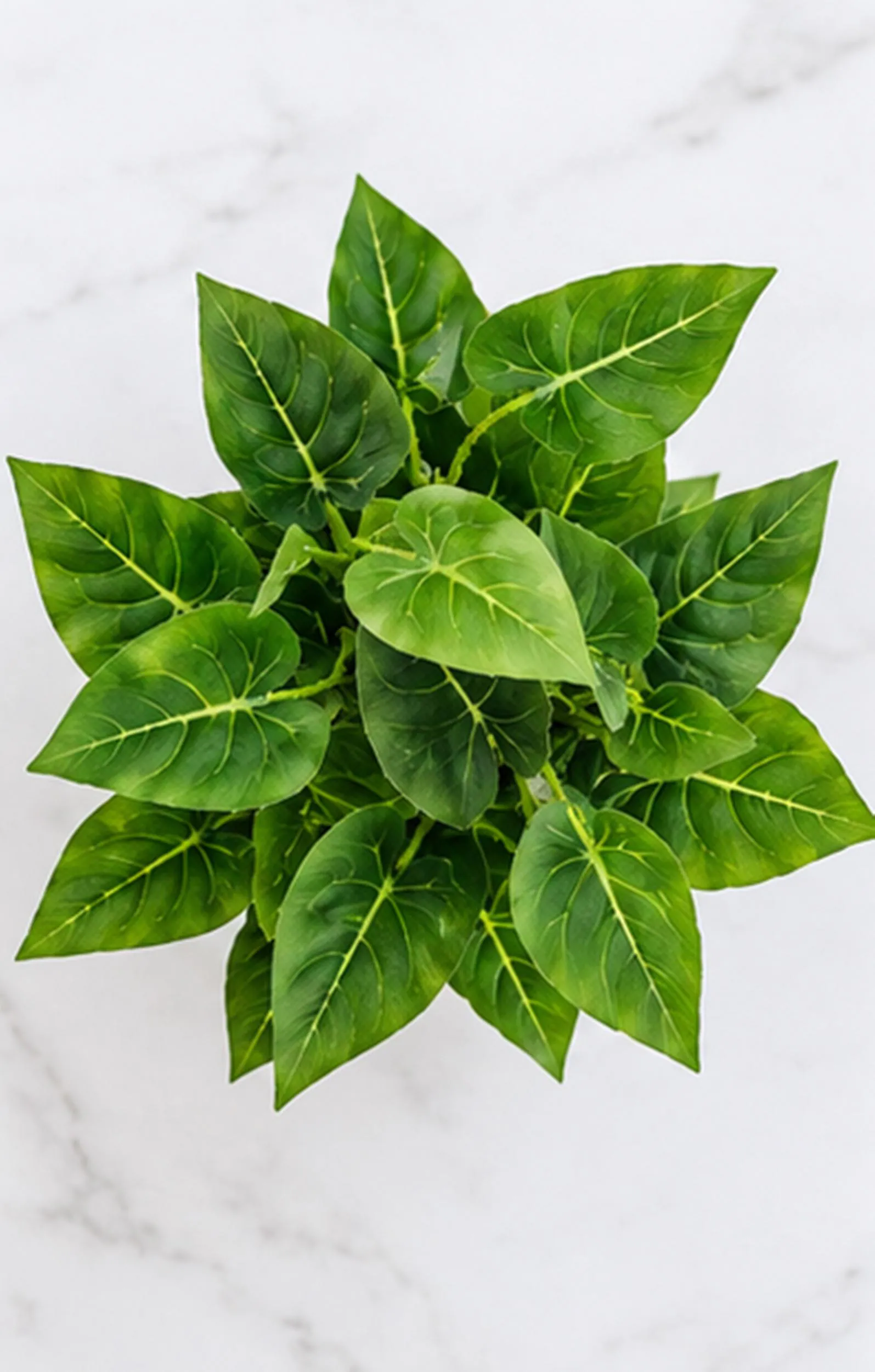 Artificial Golden Pothos Plant in Ribbed Terrazzo White Pot, Minimalist Home Decor - image 5